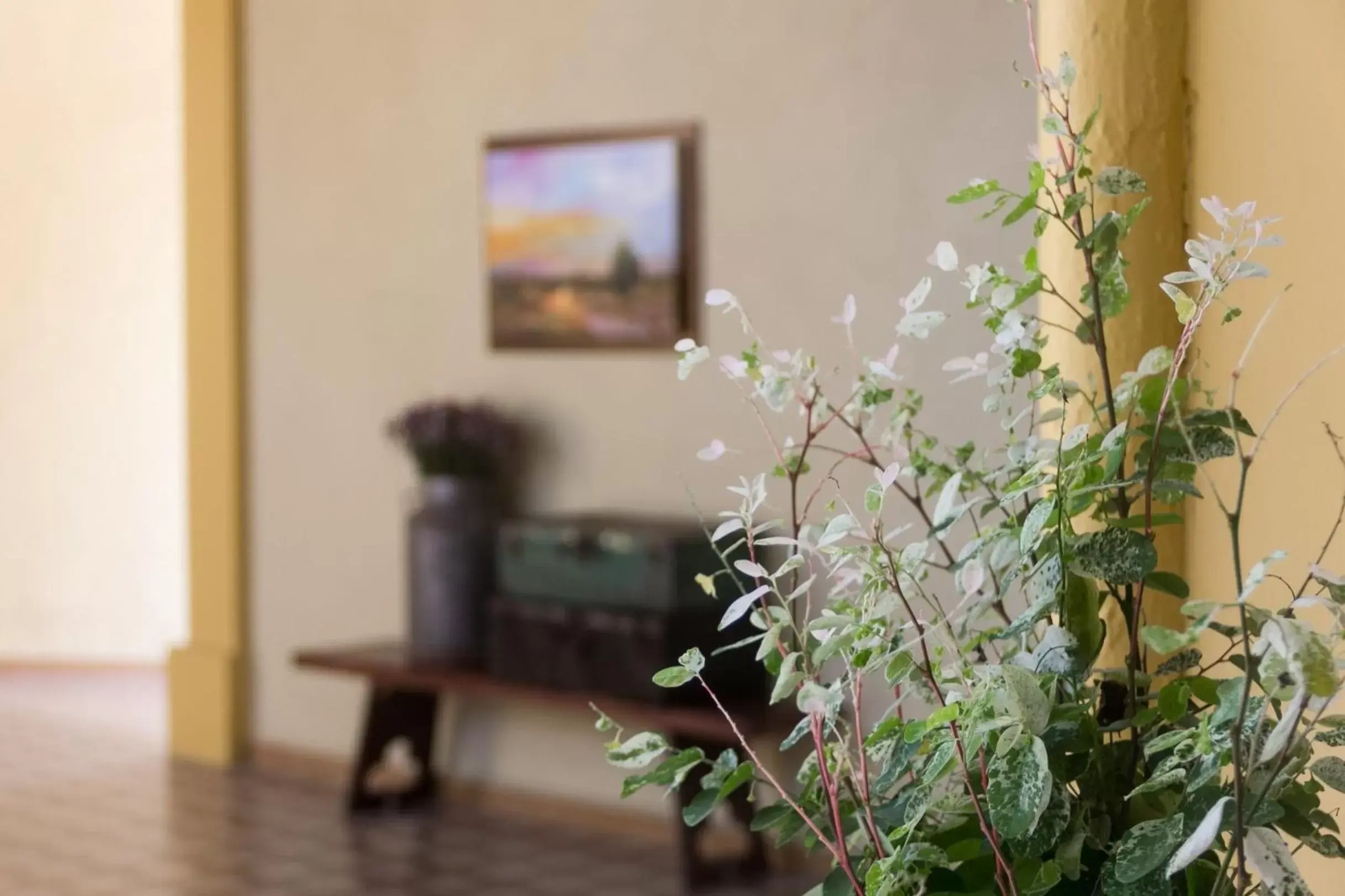 Lobby or reception, TV/Entertainment Center in Hotel La Casona de Don Jorge