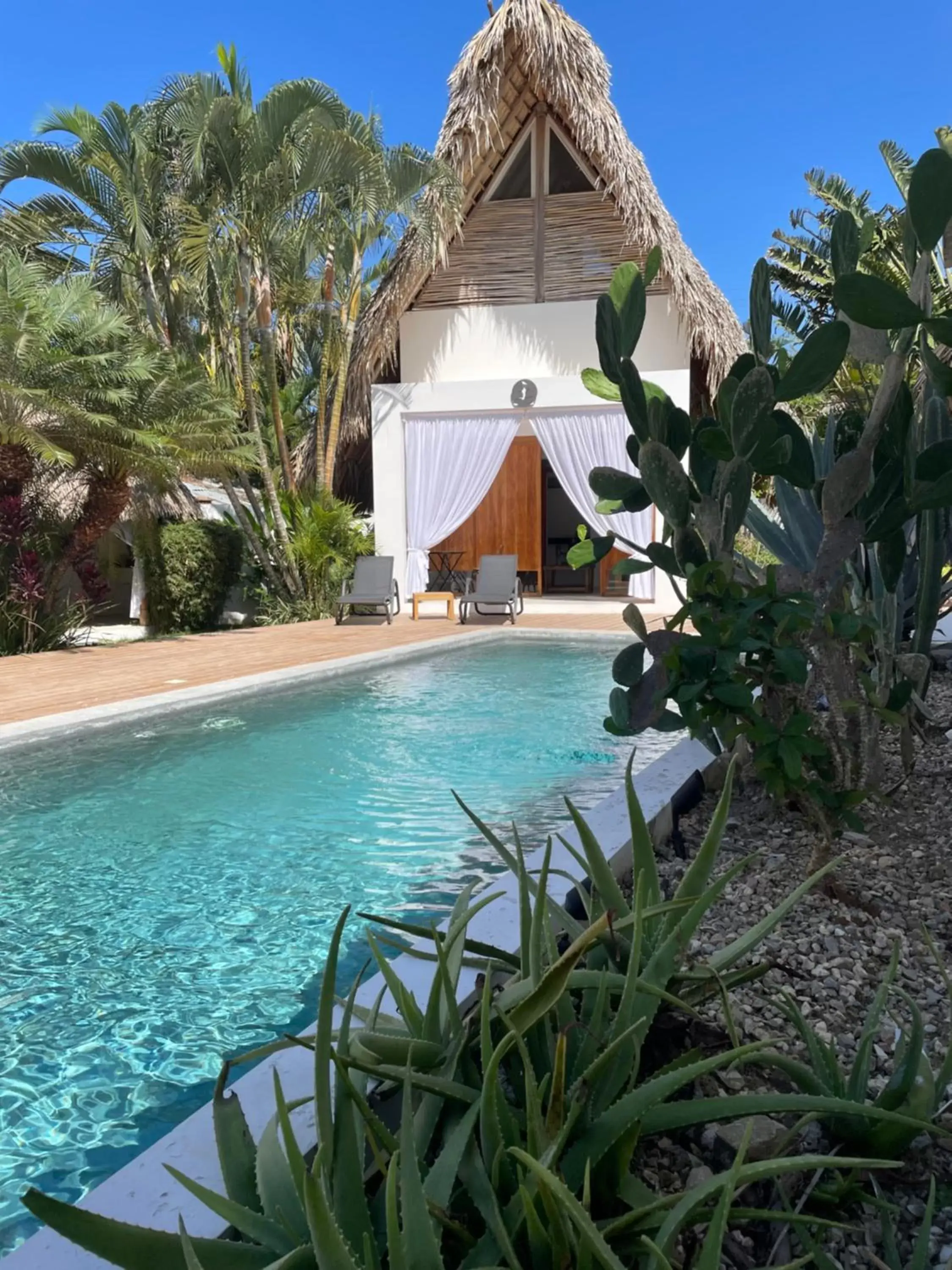 Swimming Pool in Leeloo Boutique Hotel