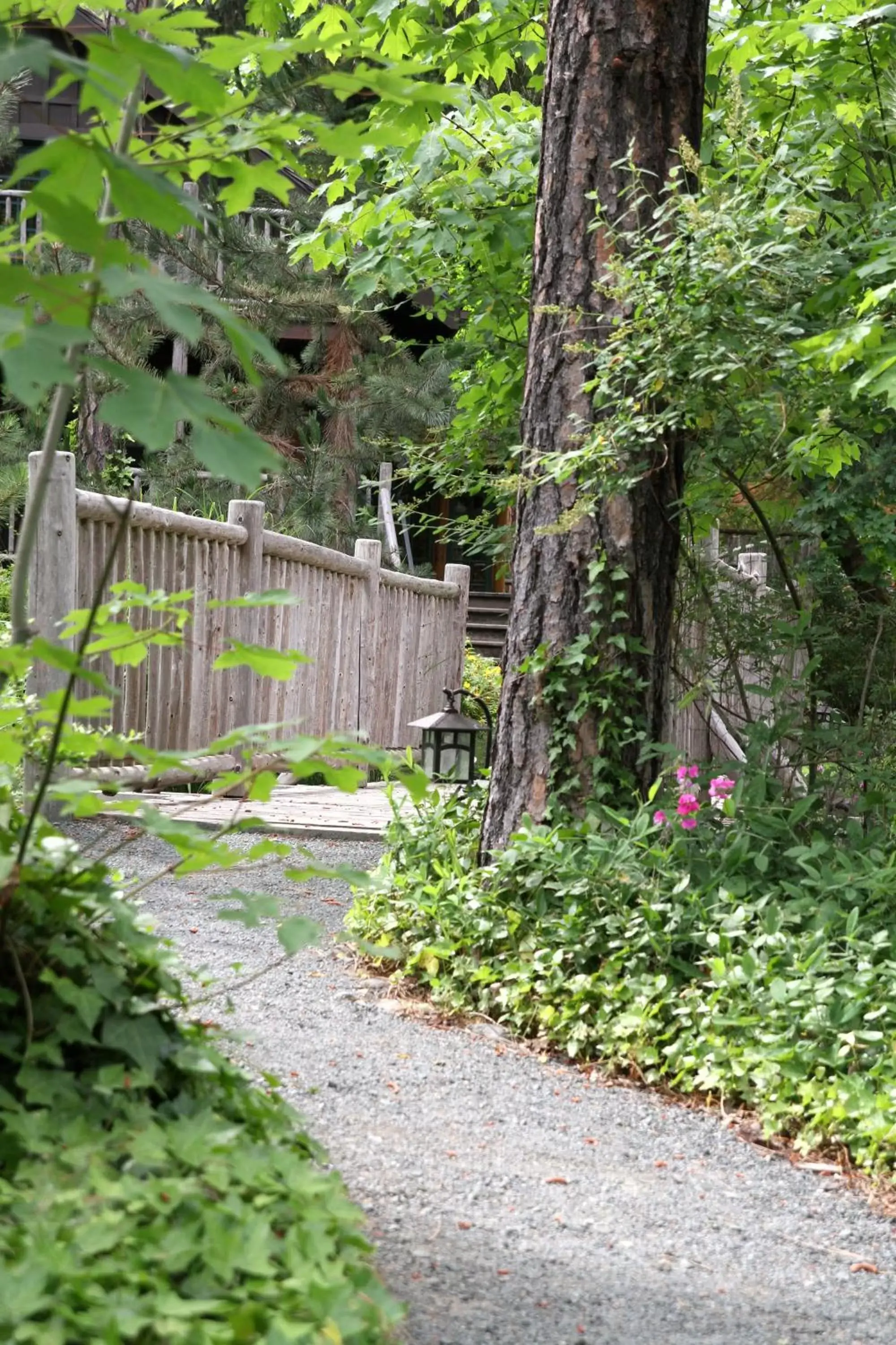 Garden in Weasku Inn