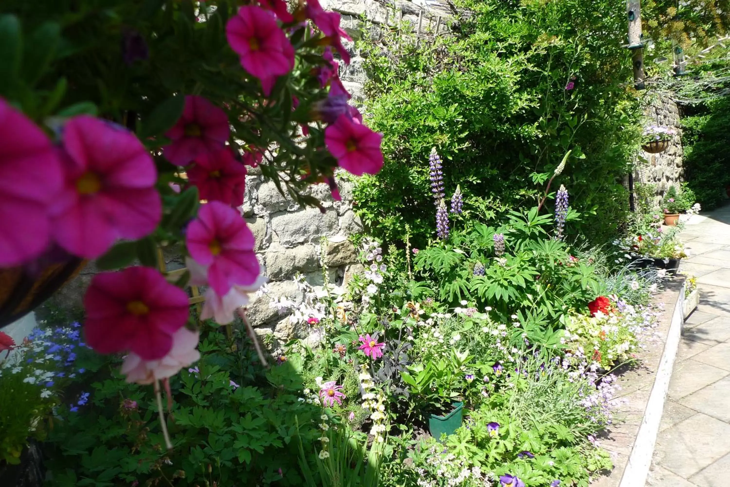 Other, Garden in Kirkgate House