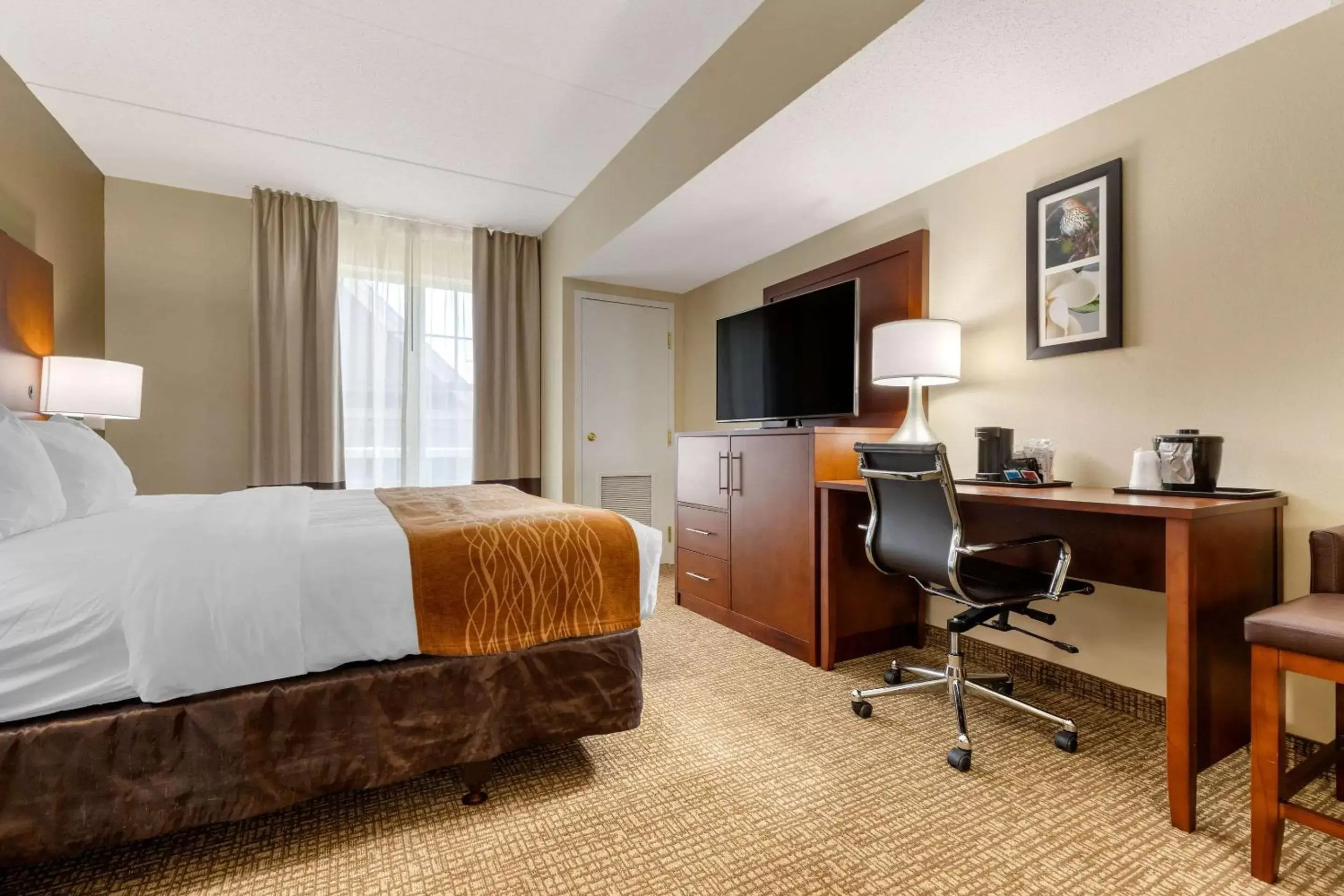 Photo of the whole room, Bed in Comfort Inn & Suites Cordele Photo of the whole room, Bed in Comfort Inn & Suites Cordele