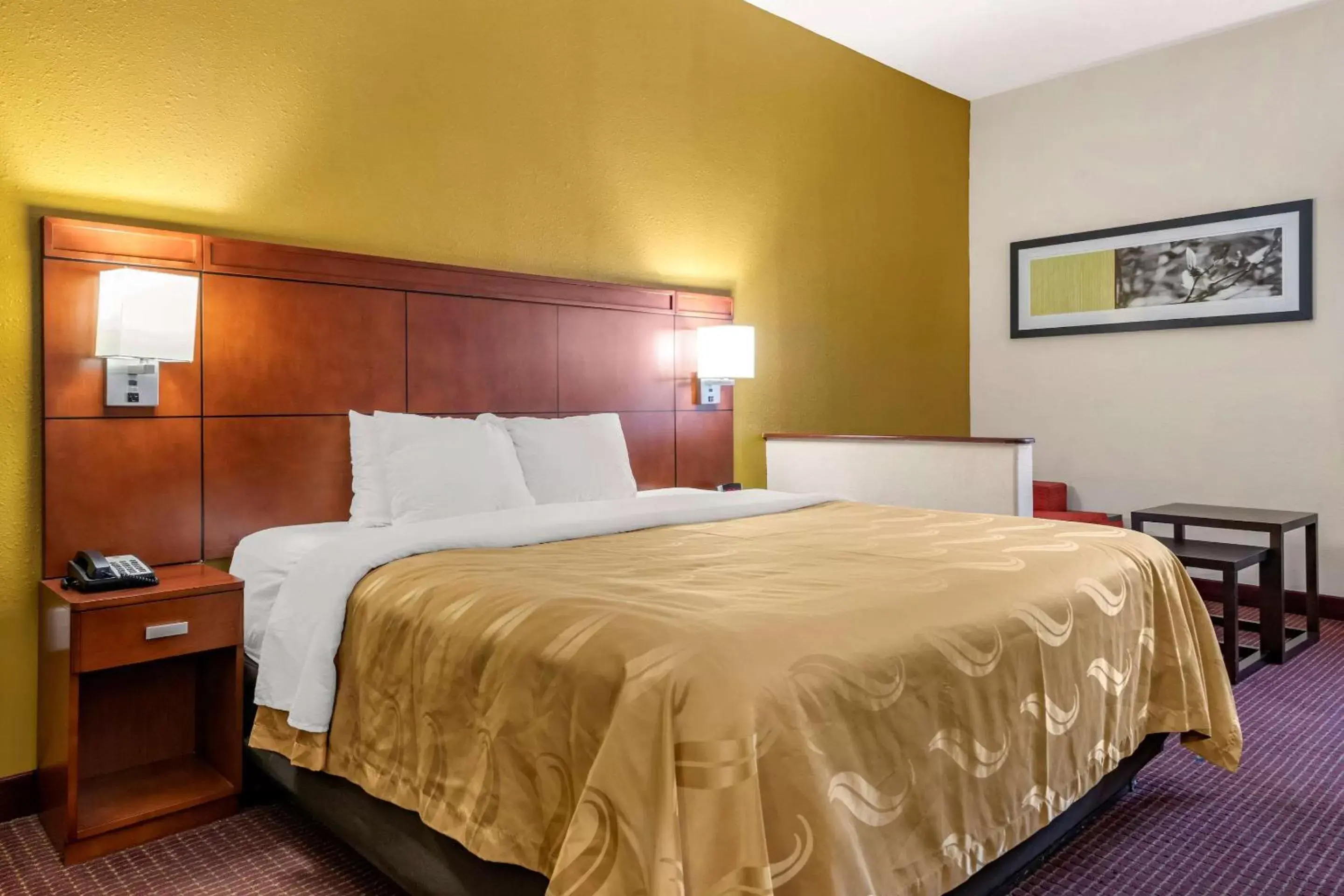 Photo of the whole room, Bed in Quality Inn Zephyrhills-Dade City Photo of the whole room, Bed in Quality Inn Zephyrhills-Dade City