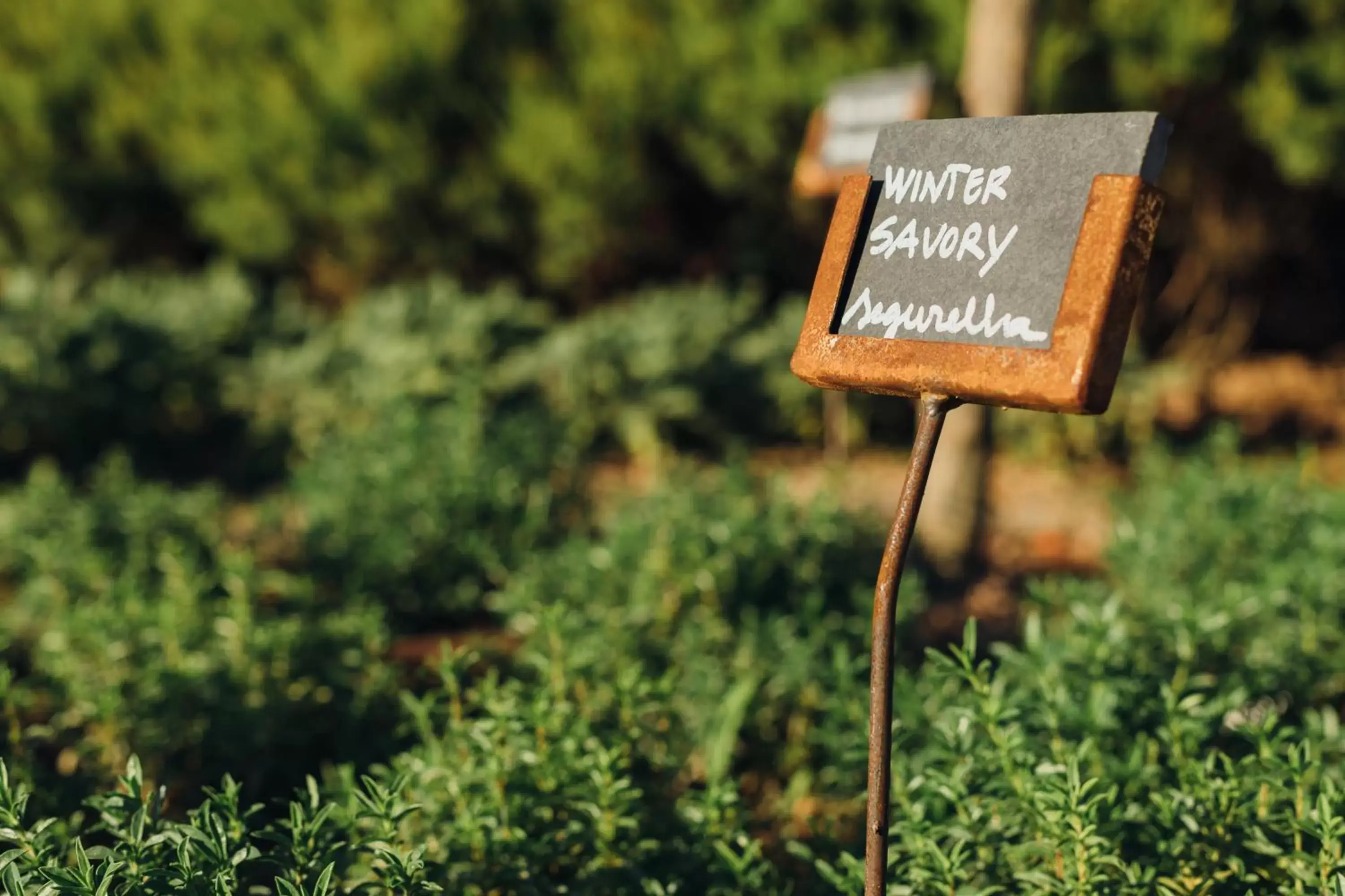 Garden in Octant Douro