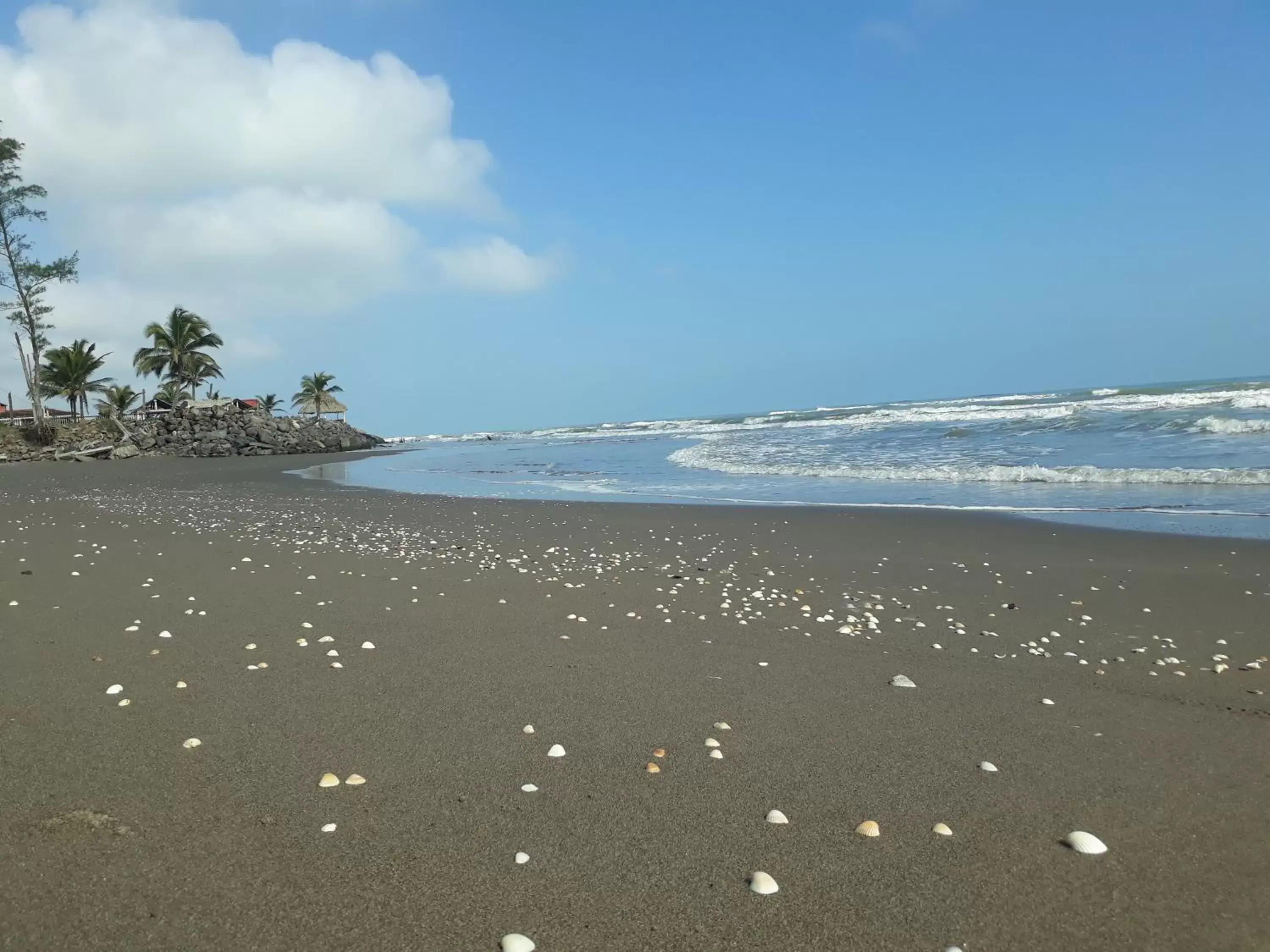 Beach in Eco Coco Loco by Rotamundos