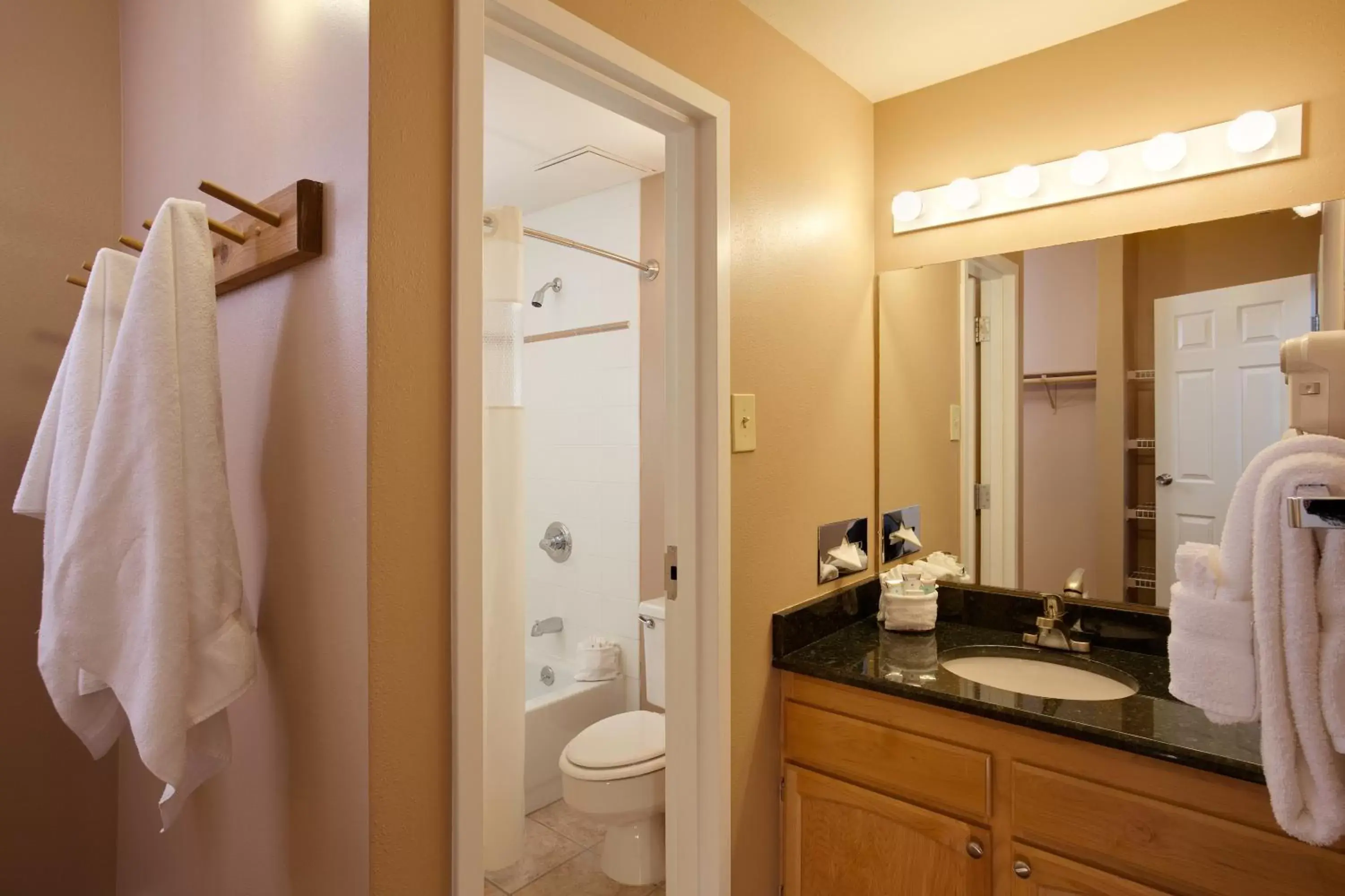 Toilet, Bathroom in Legacy Vacation Resorts Steamboat Springs Hilltop