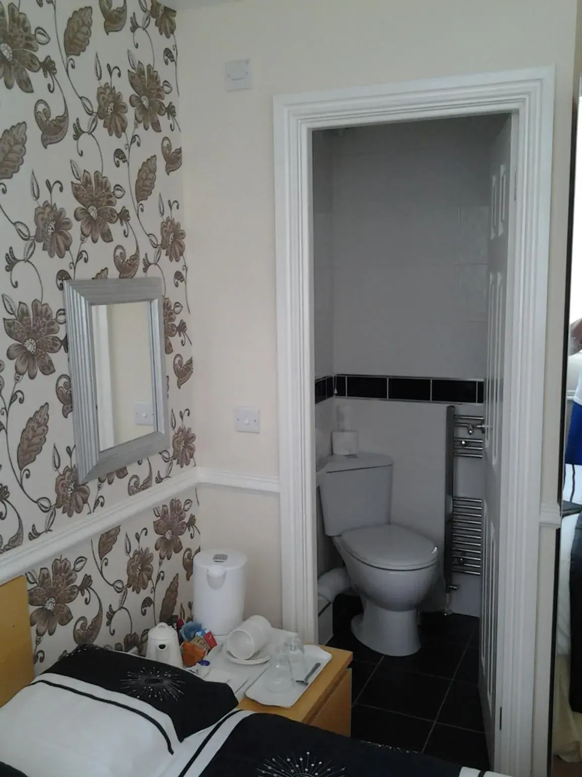 Toilet, Bathroom in Surrey House Hotel
