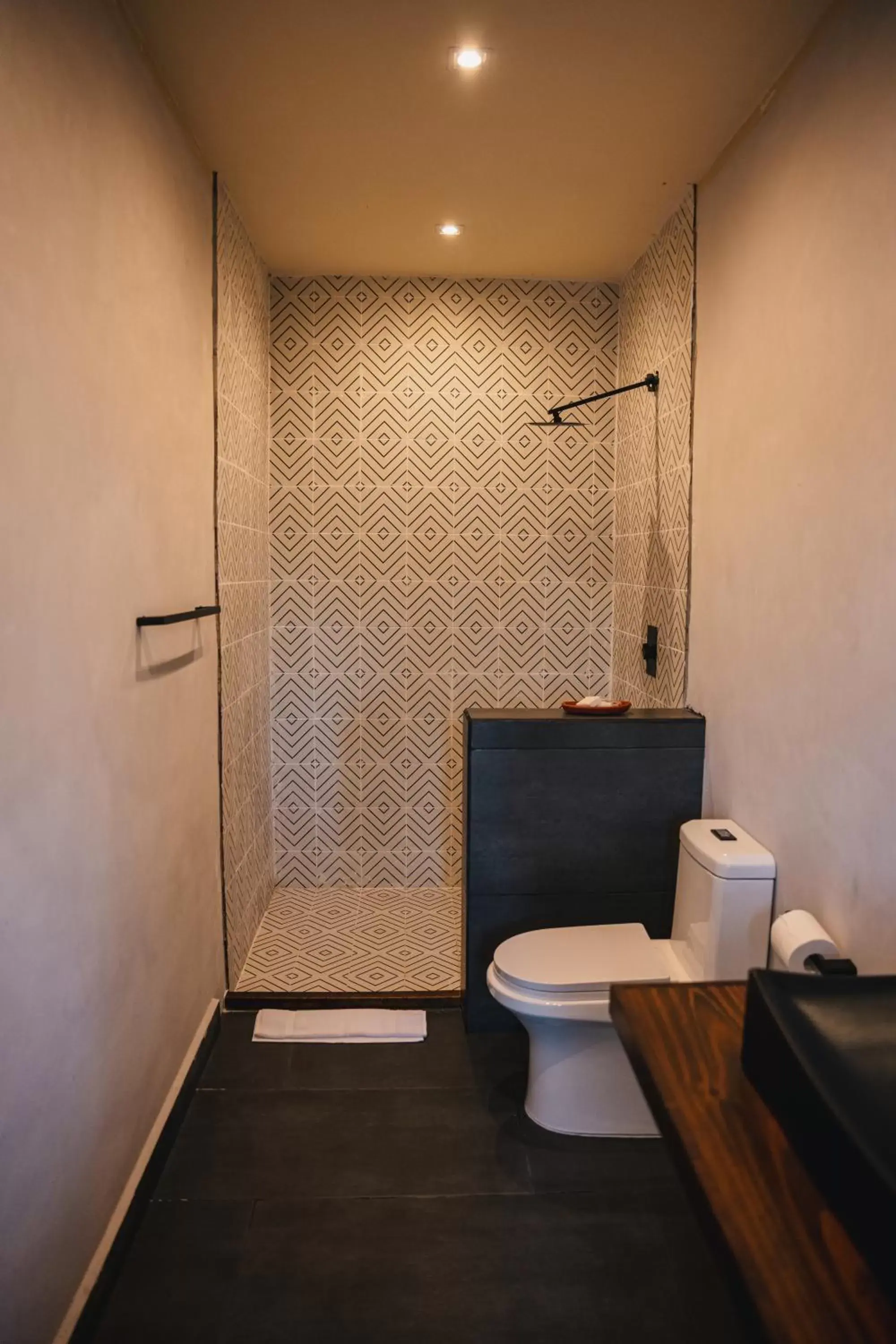 Shower, Bathroom in Bora Boutique - Adults Only