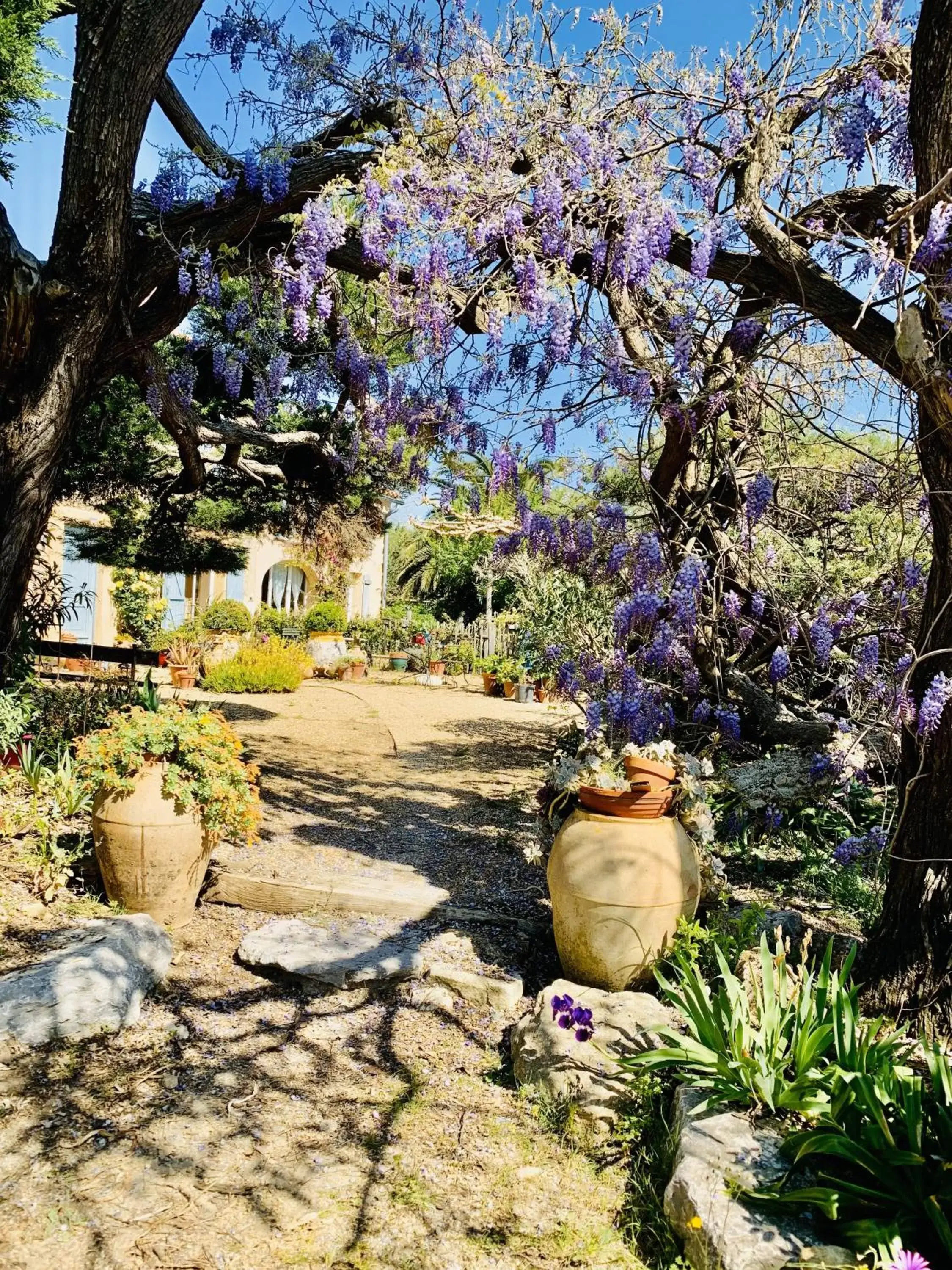 Garden in LA MAISON DE JUSTINE