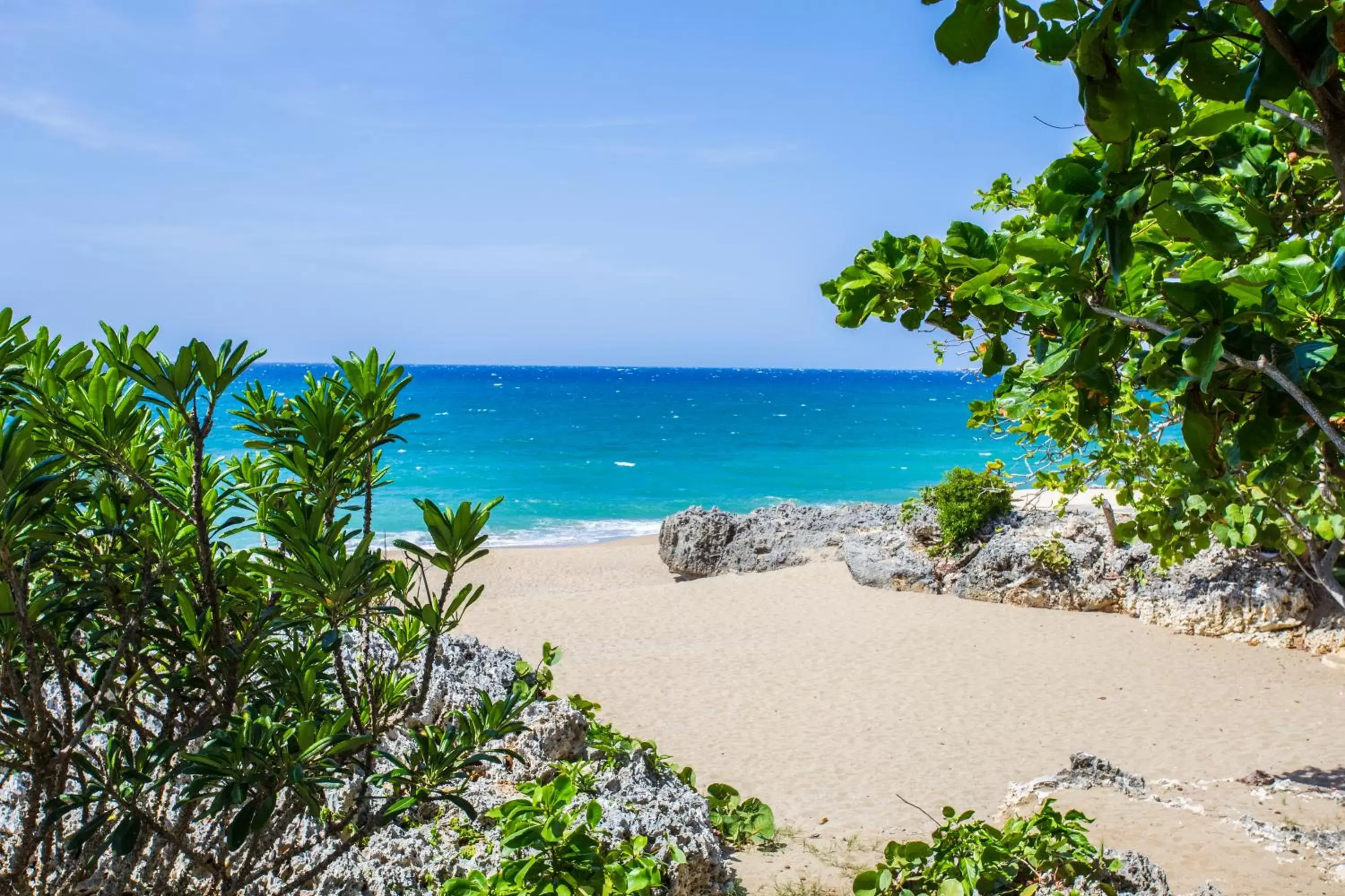 Natural landscape, Beach in Ocean Village Deluxe Resort & Spa