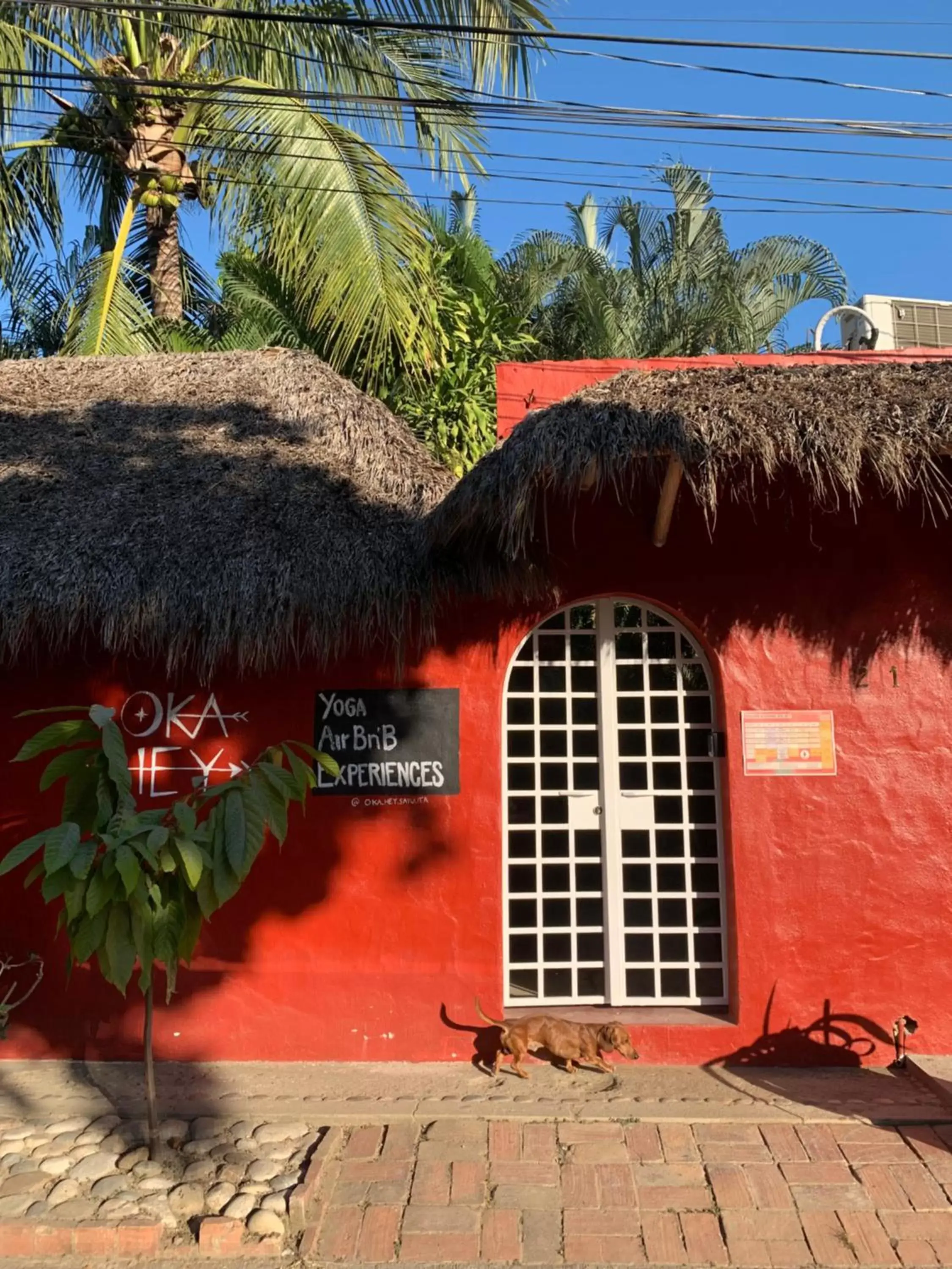 Property building in Oka Hey, Sayulita