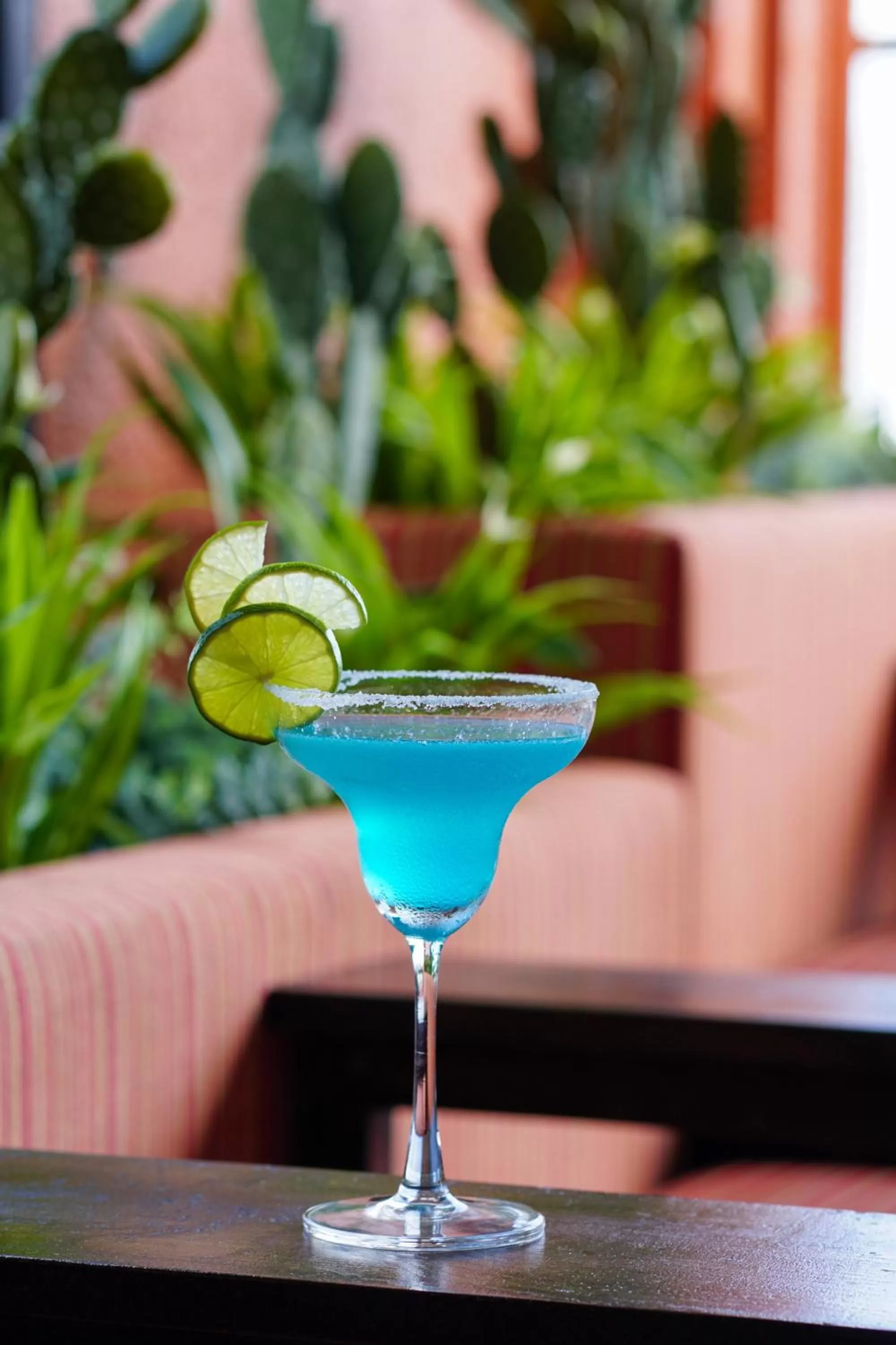 Food and drinks in Alagon City Hotel & Spa