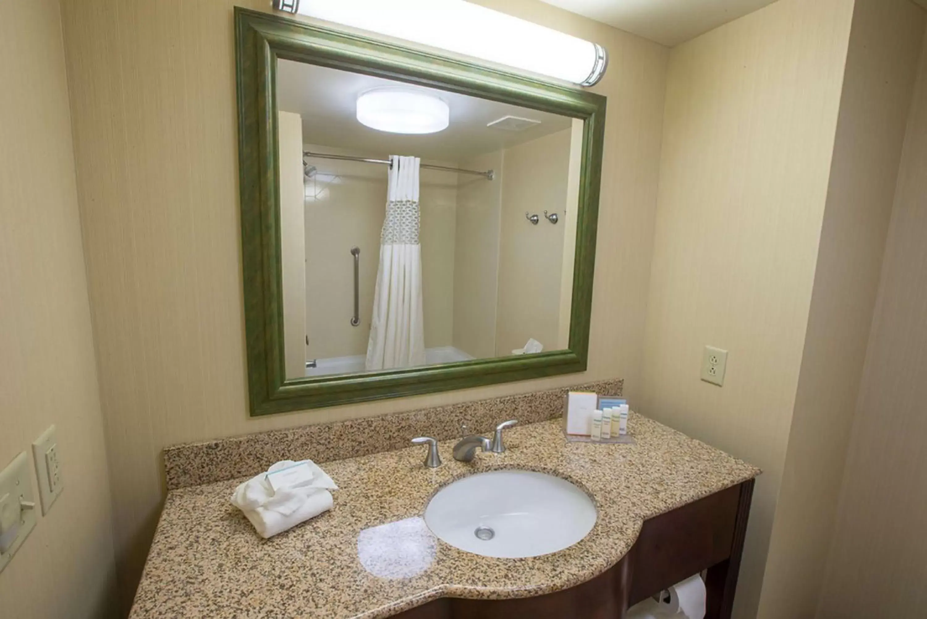 Bathroom in Hampton Inn & Suites Berkshires-Lenox