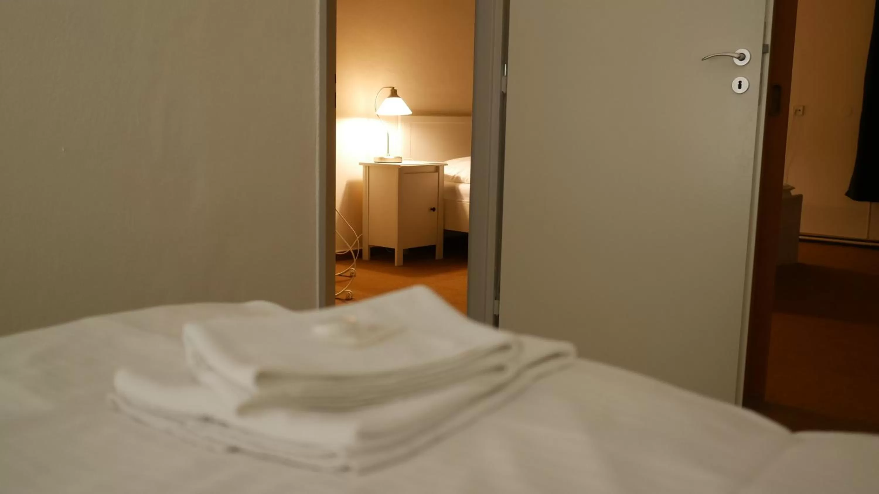 Bed in Hotel Bílý Koníček