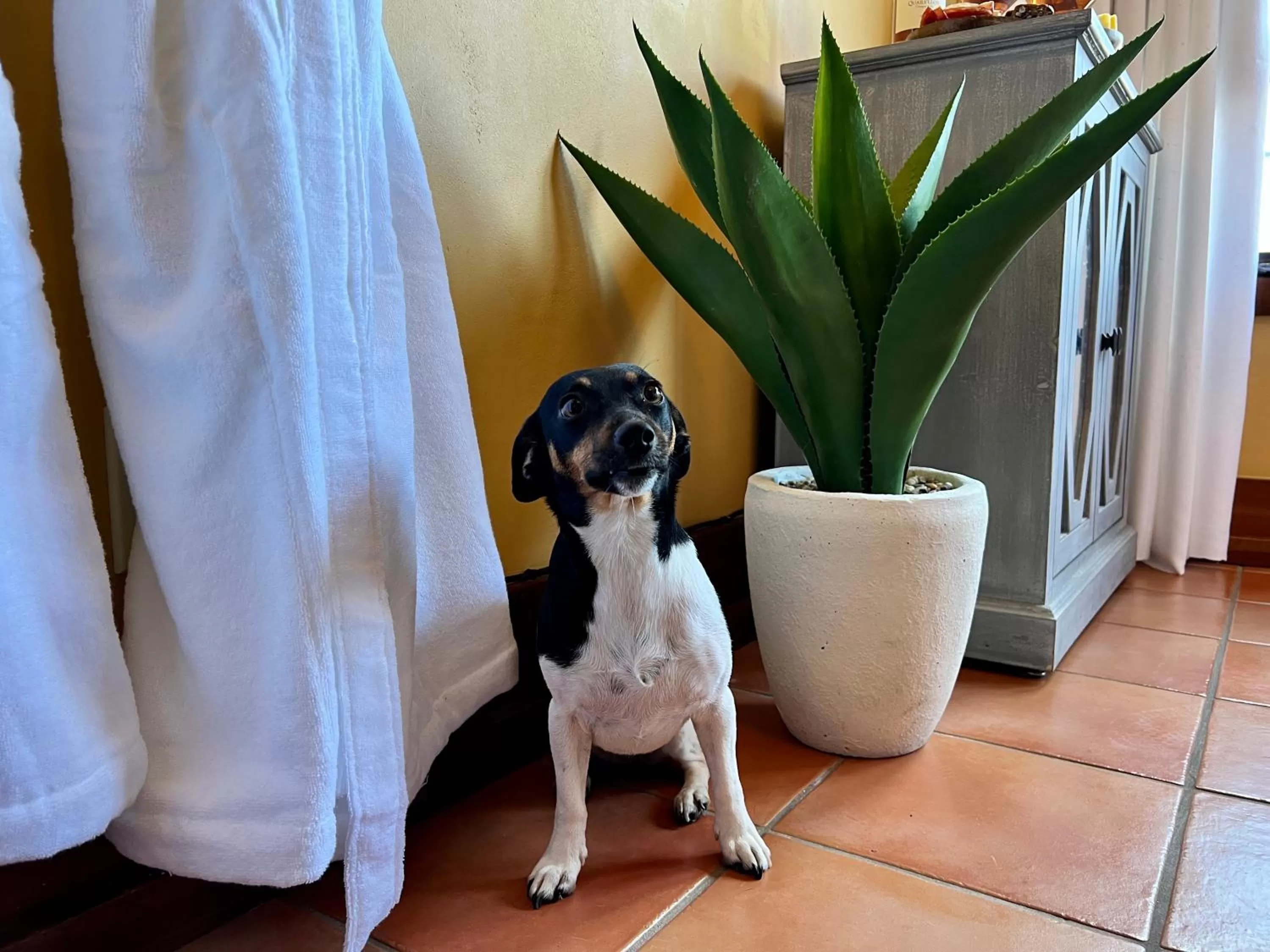 Staff in Casa Grande Inn & Suites