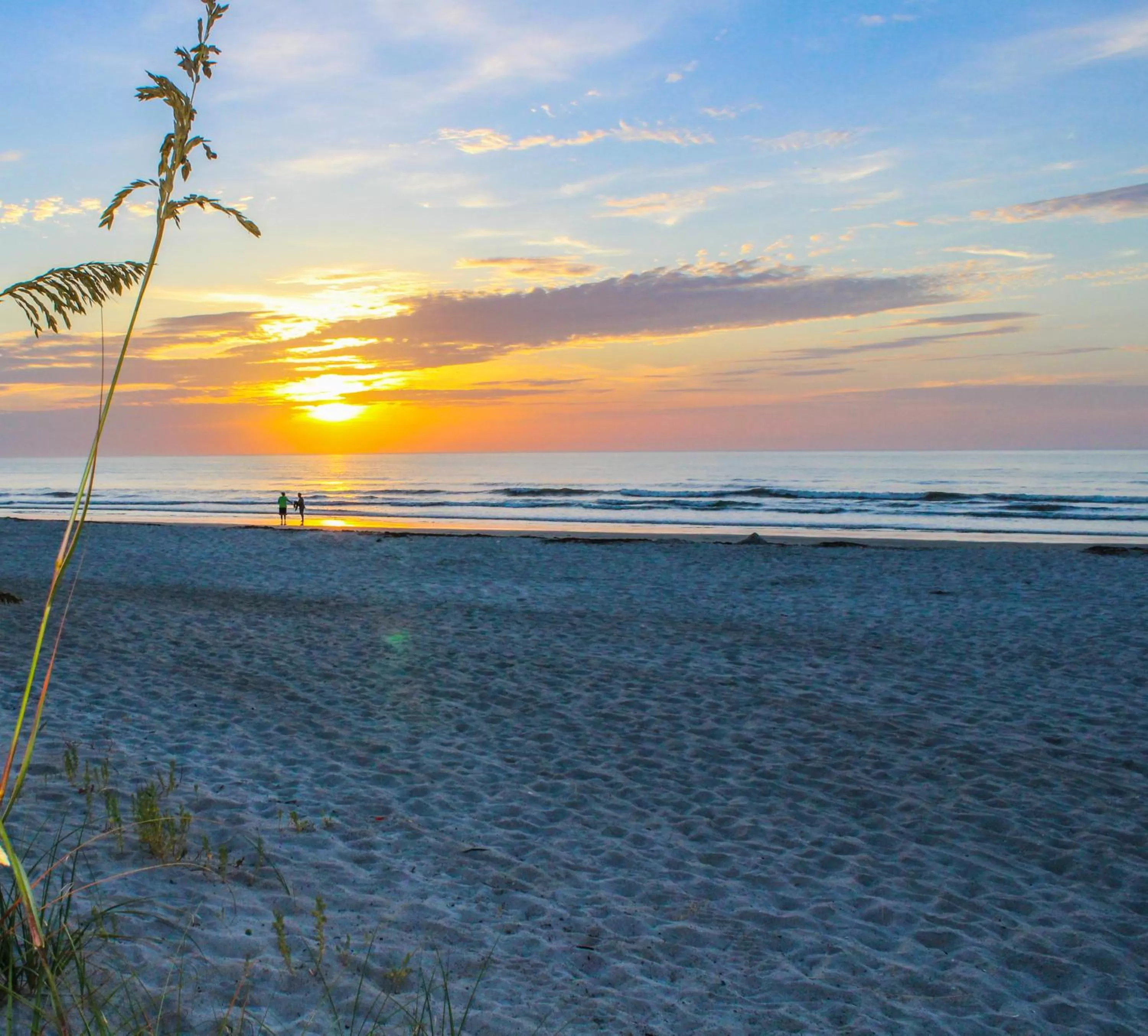 Natural landscape in The Resort on Cocoa Beach