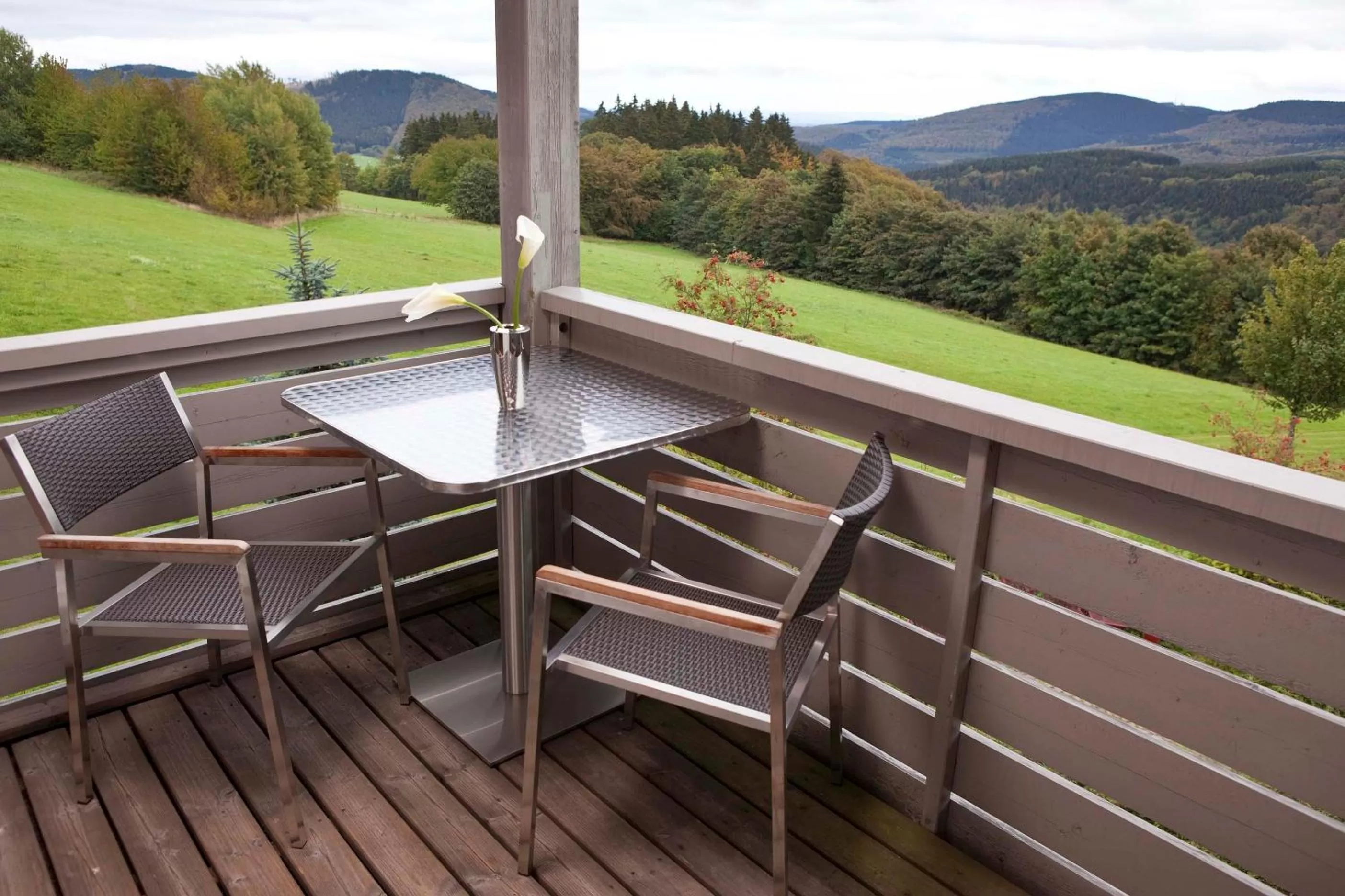 View (from property/room) in Hapimag Ferienwohnungen Winterberg