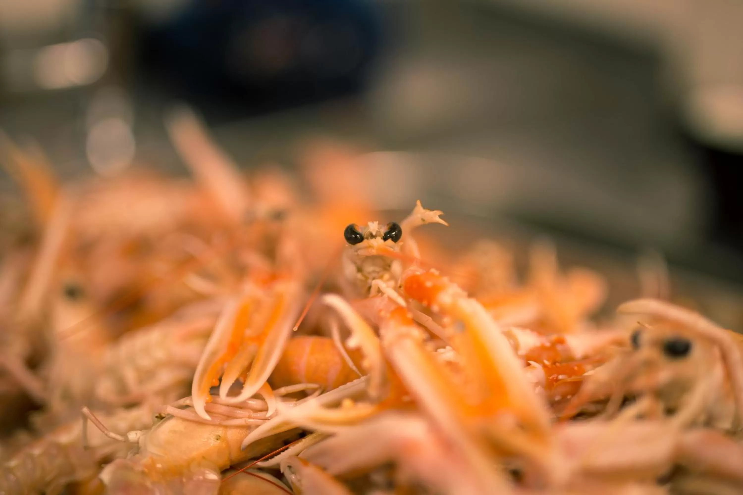 Food and drinks in The Strand Hotel, the former residence of Oscar Wilde