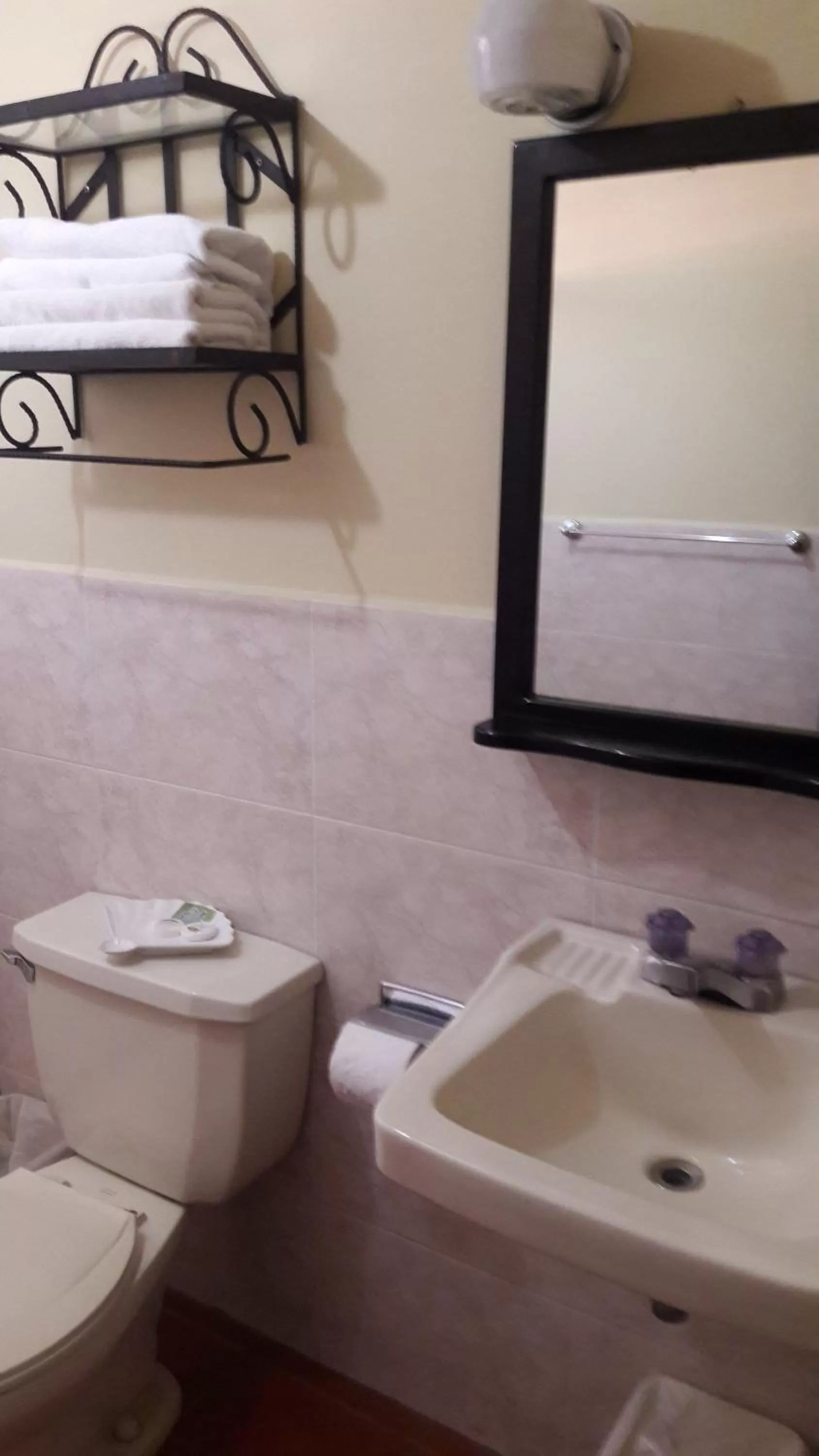 Toilet in Hotel Brisas de Copan