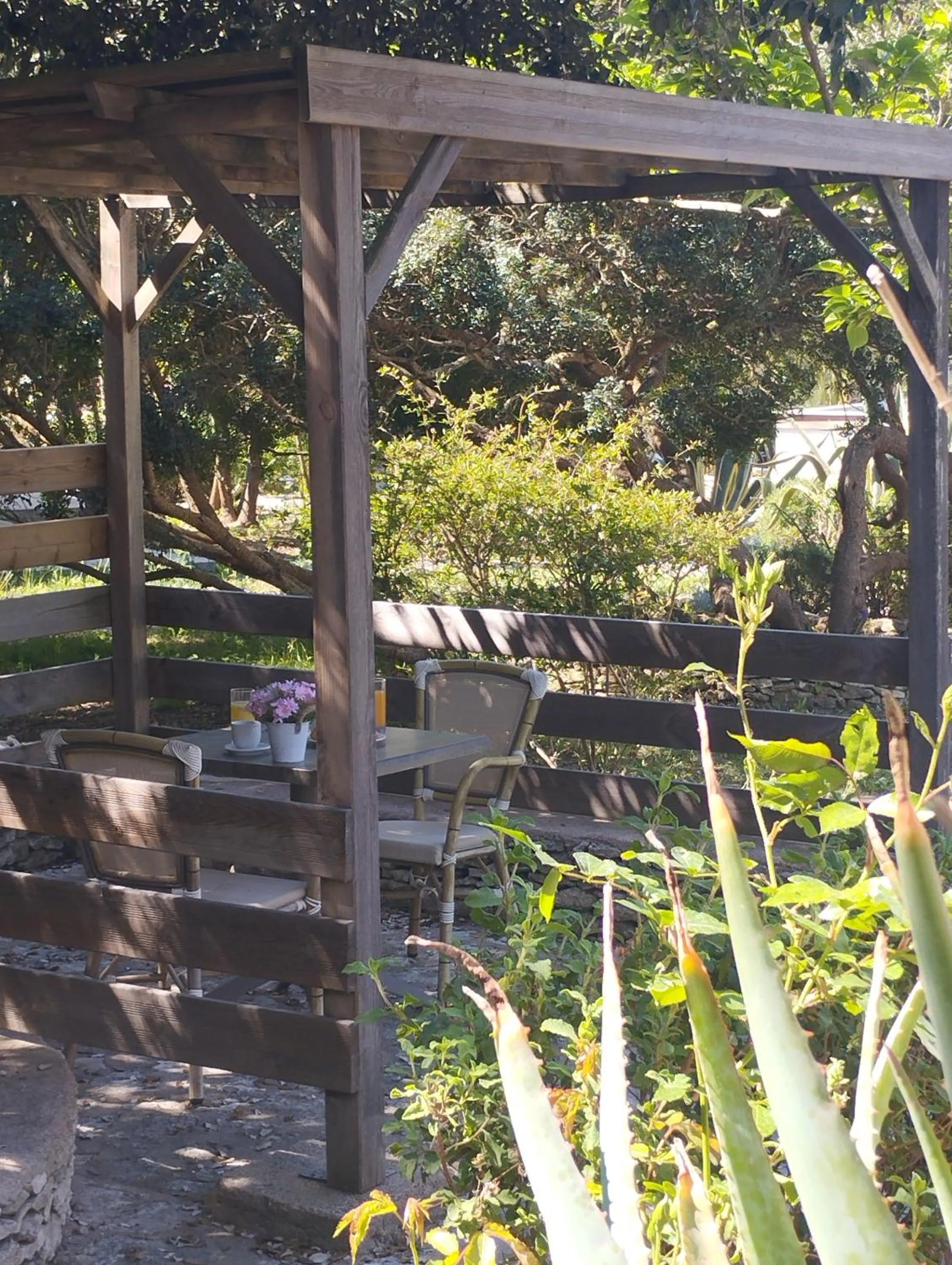 Garden in Hôtel Padolo