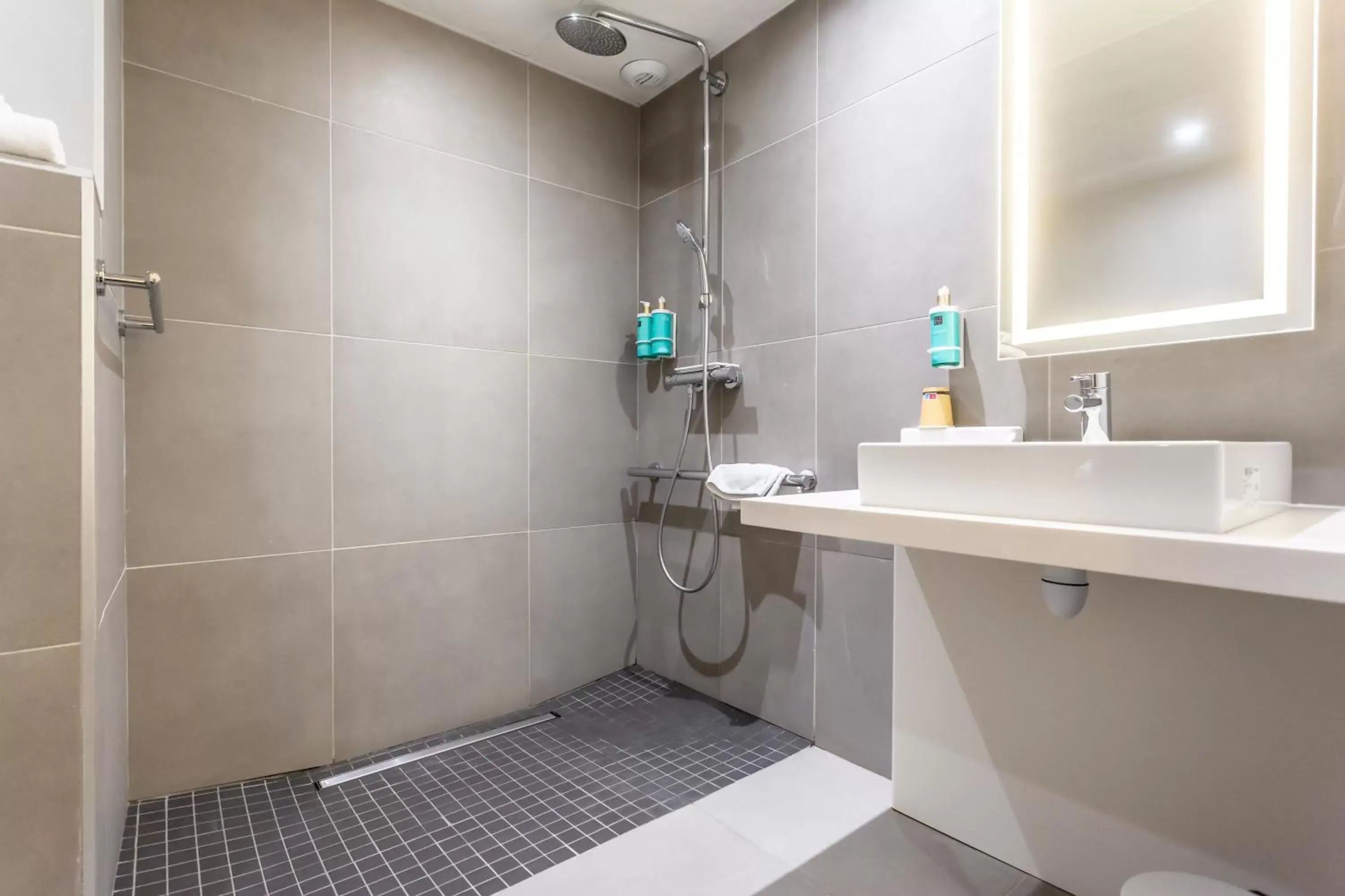 Facility for disabled guests, Bathroom in Novotel Bourges