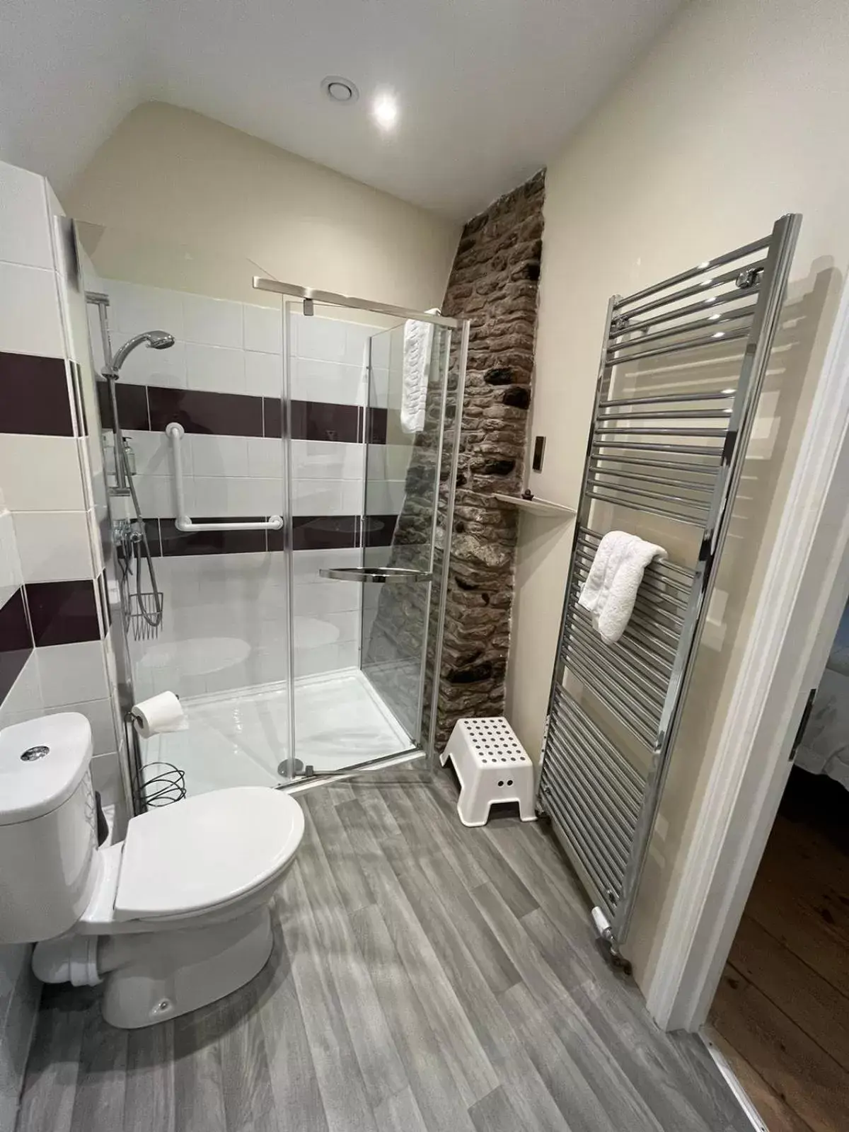 Toilet, Bathroom in Old Manor House