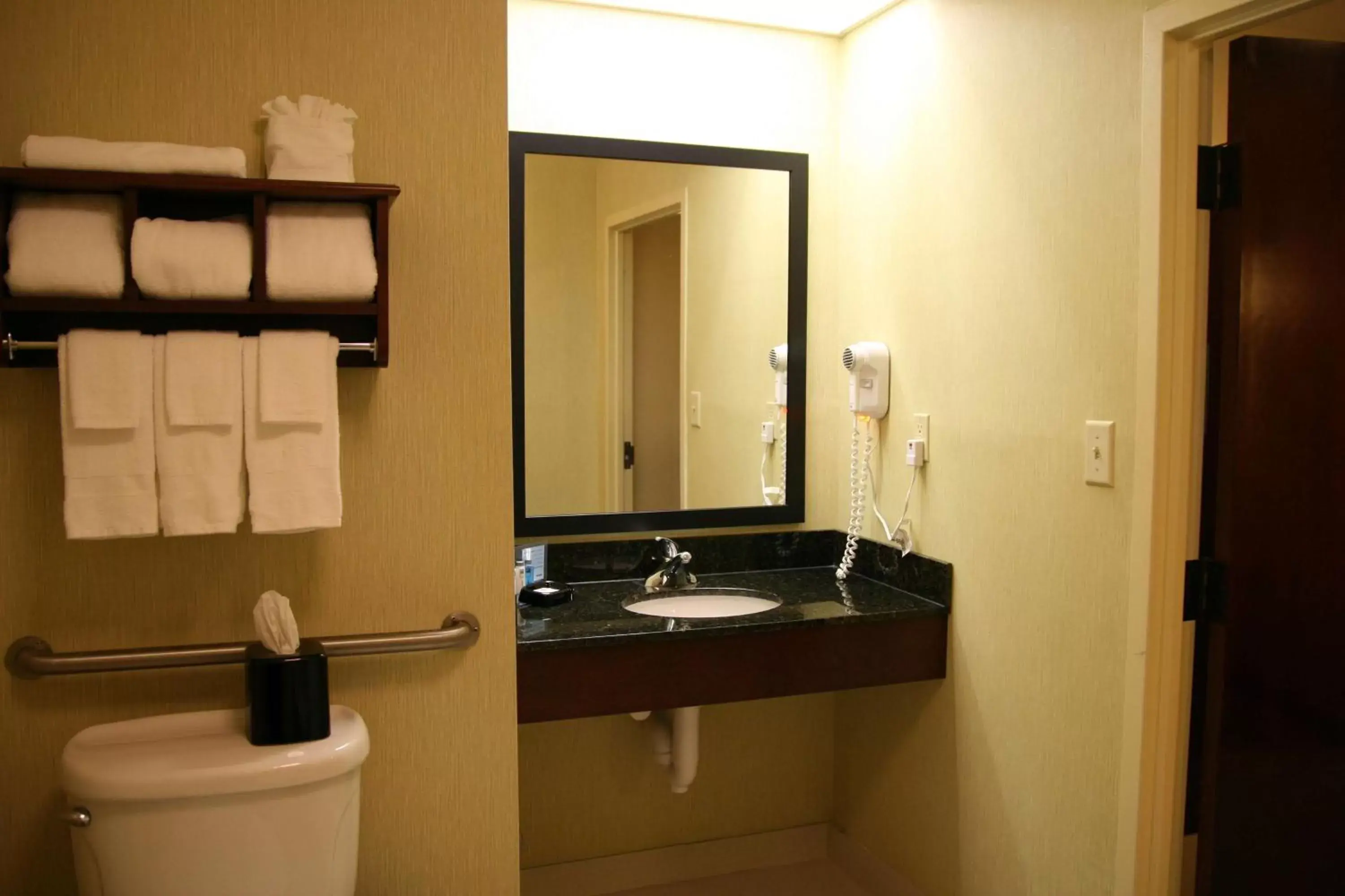 Bathroom in Hampton Inn Richmond/Midlothian Turnpike