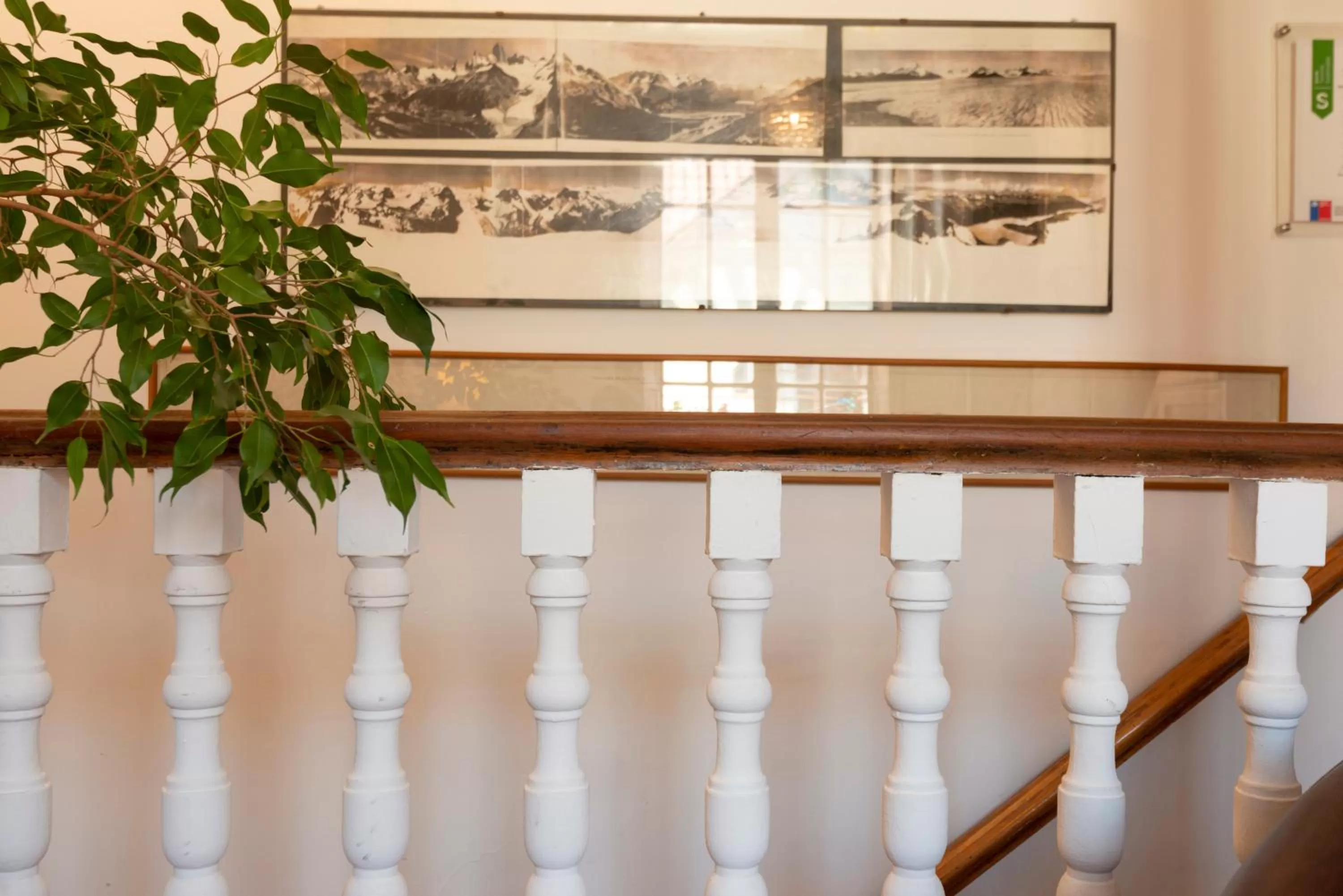 Area and facilities in Providencia Bed & Breakfast