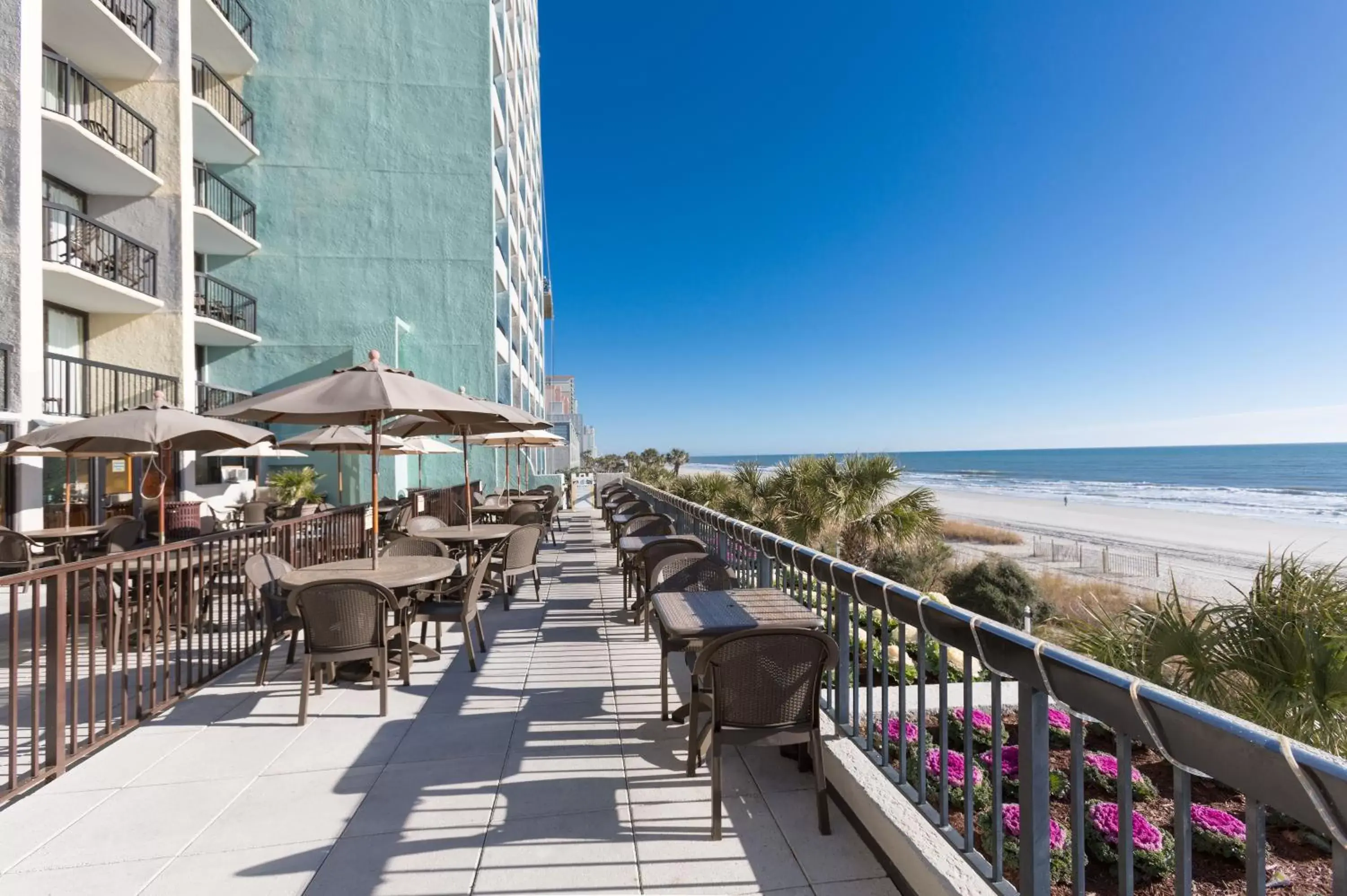 Restaurant/places to eat, Balcony/Terrace in Compass Cove