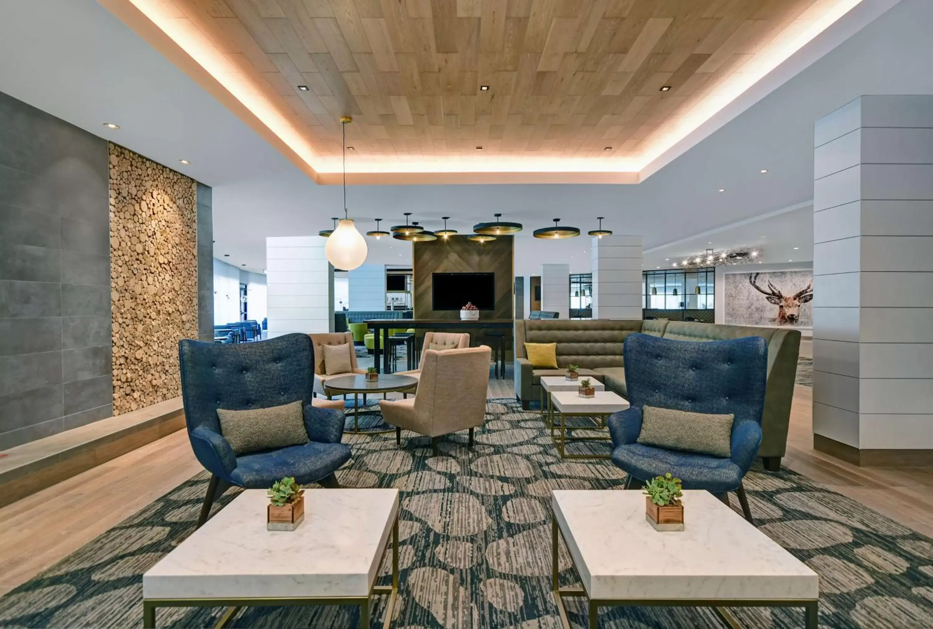 Lobby or reception, Lobby/Reception in Hilton Peachtree City Atlanta Hotel & Conference Center