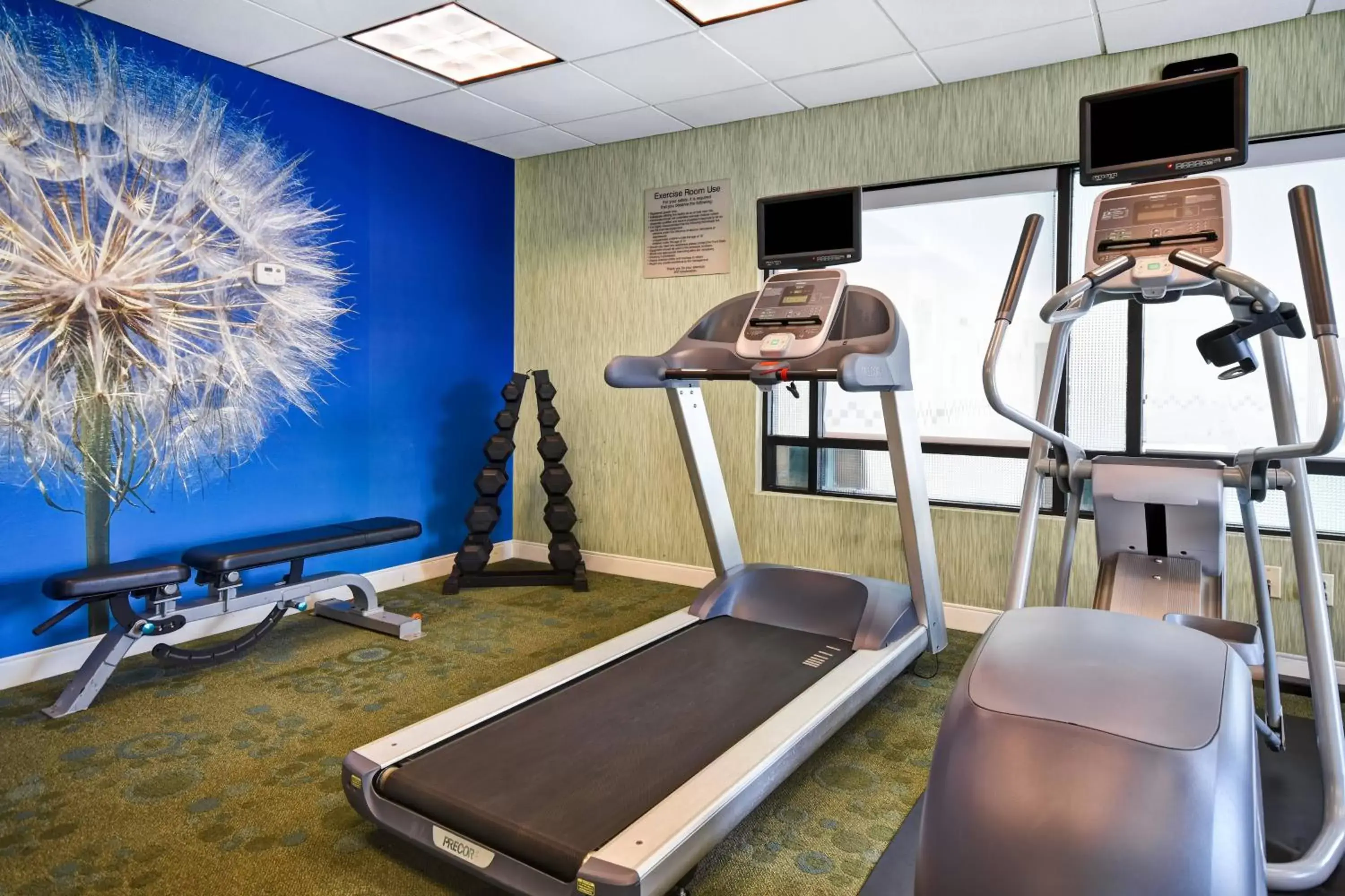 Fitness centre/facilities, Fitness Center/Facilities in SpringHill Suites by Marriott Baltimore BWI Airport