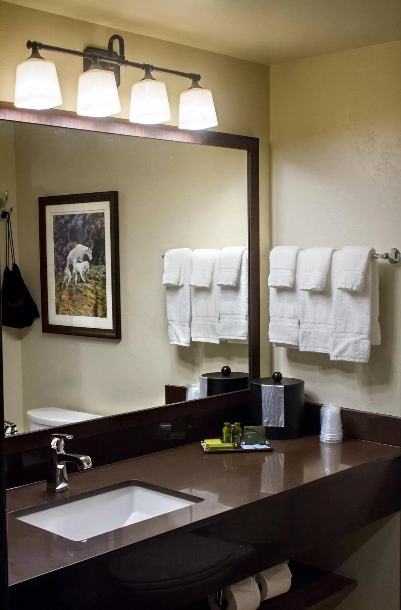 Bathroom in Cedar Creek Lodge & Conference Center