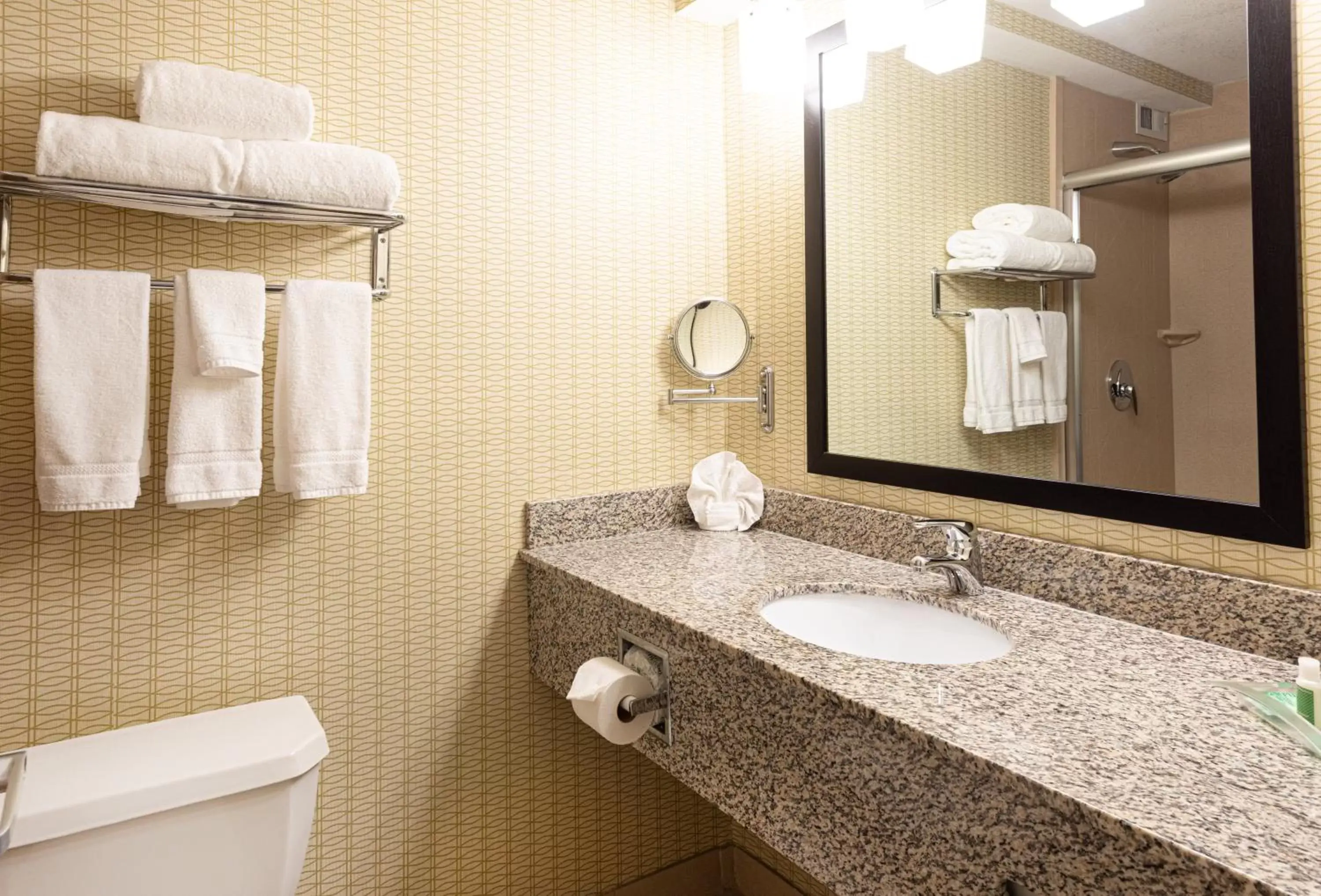 Bathroom in Holiday Inn St. Louis Airport West Earth City, an IHG Hotel