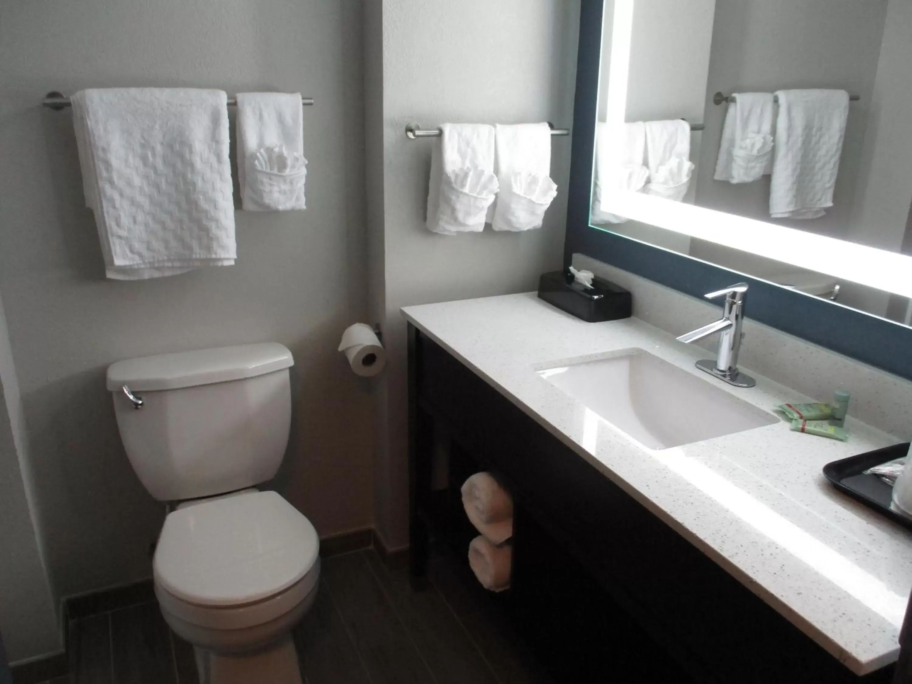 Toilet, Bathroom in Best Western Rock Hill