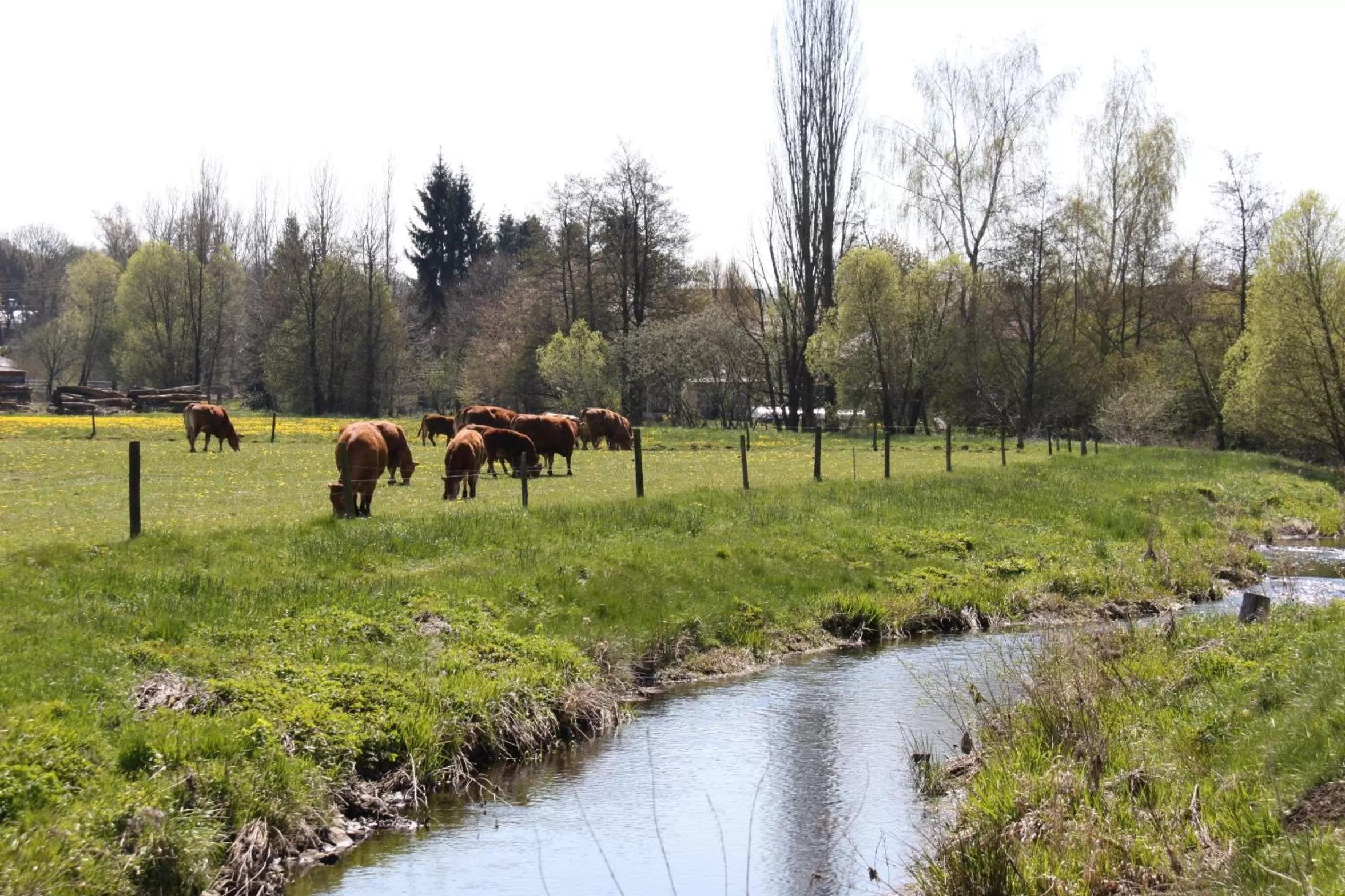 Neighbourhood in mein kleinHOTEL