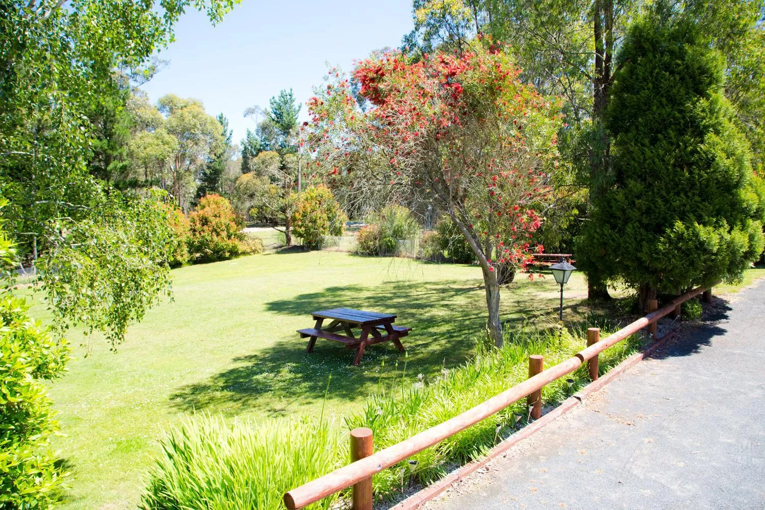 Day in Black Forest Motel