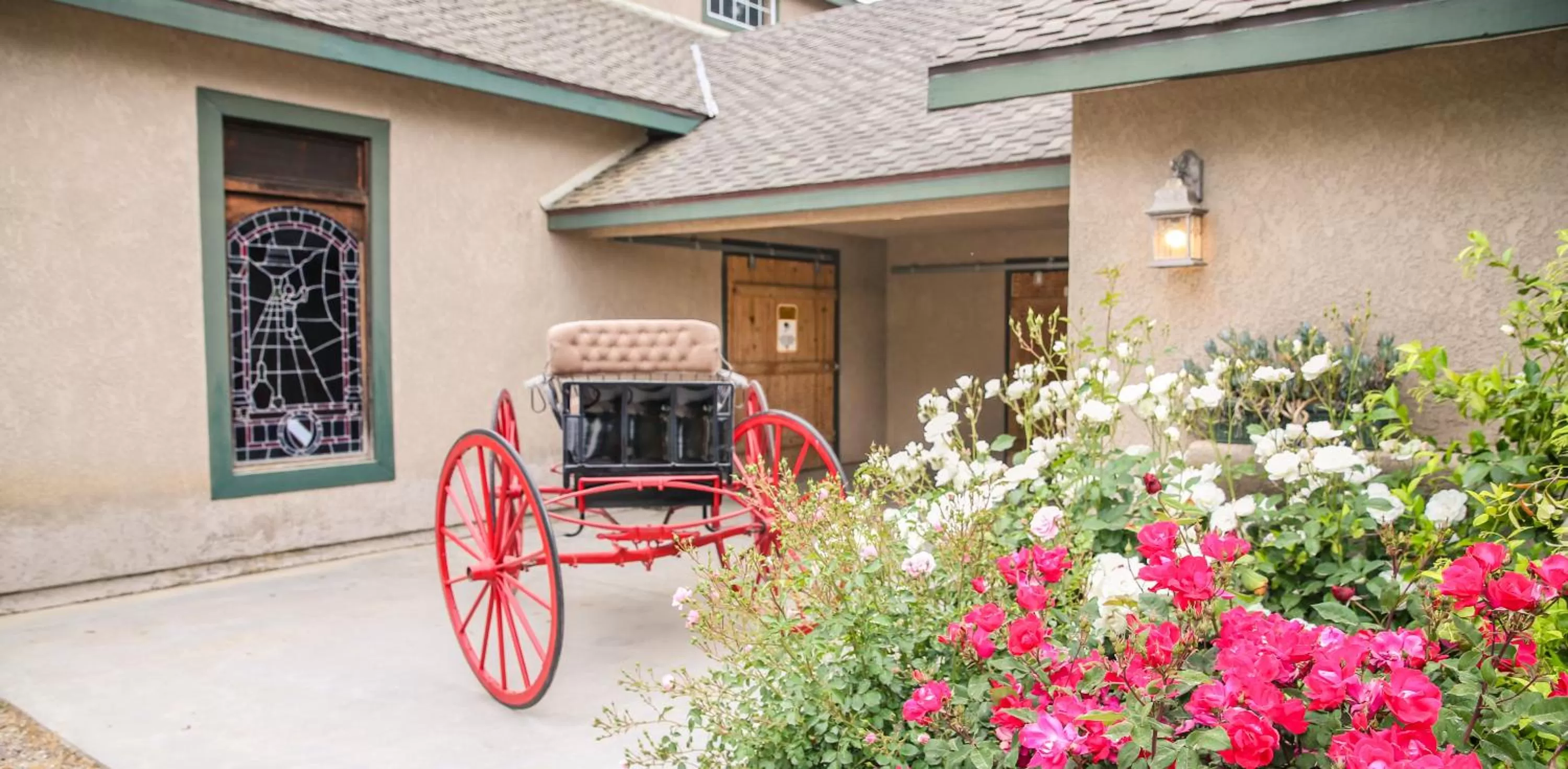 The Eden House Vineyard