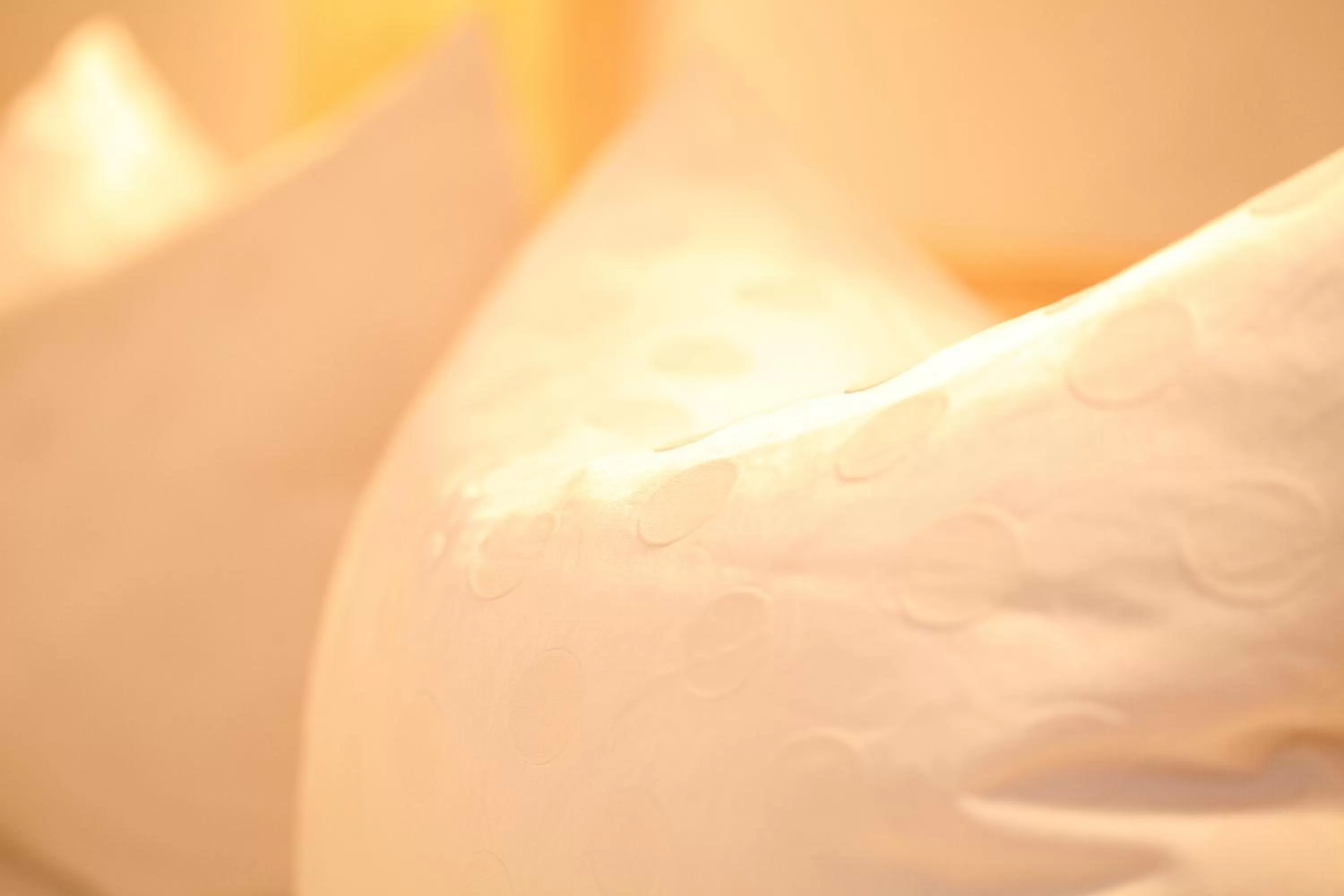 Other, Bed in Theresenhof