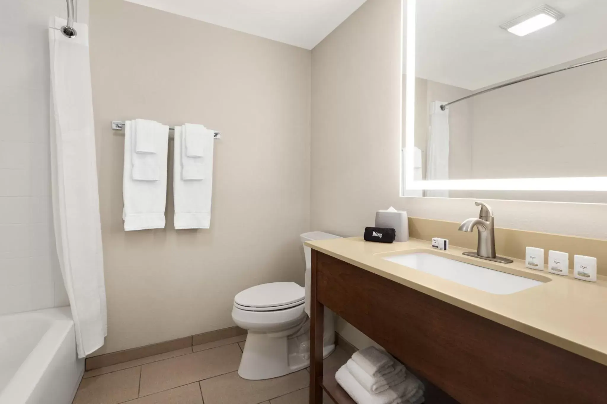 Bathroom in Holiday Inn Express & Suites Evansville Downtown, an IHG Hotel