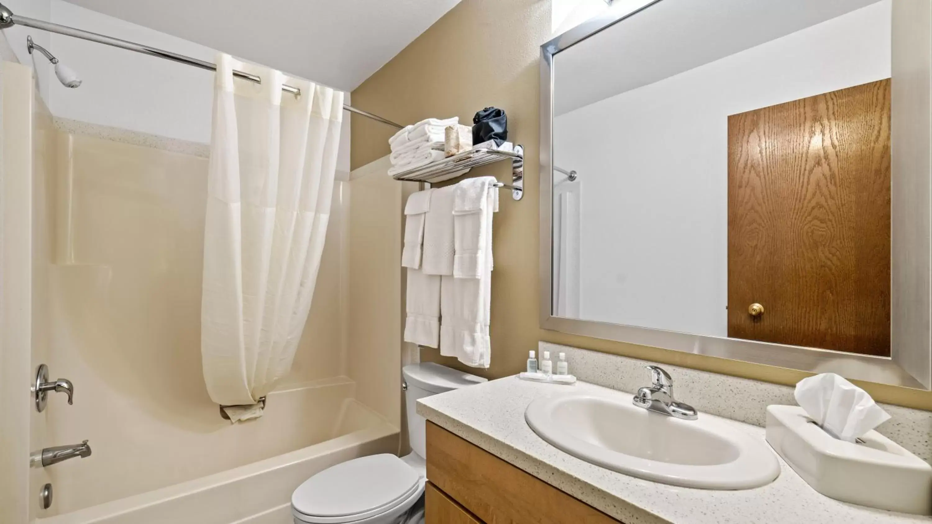 Bath, Bathroom in Clarion Hotel & Suites Fairbanks near Ft. Wainwright