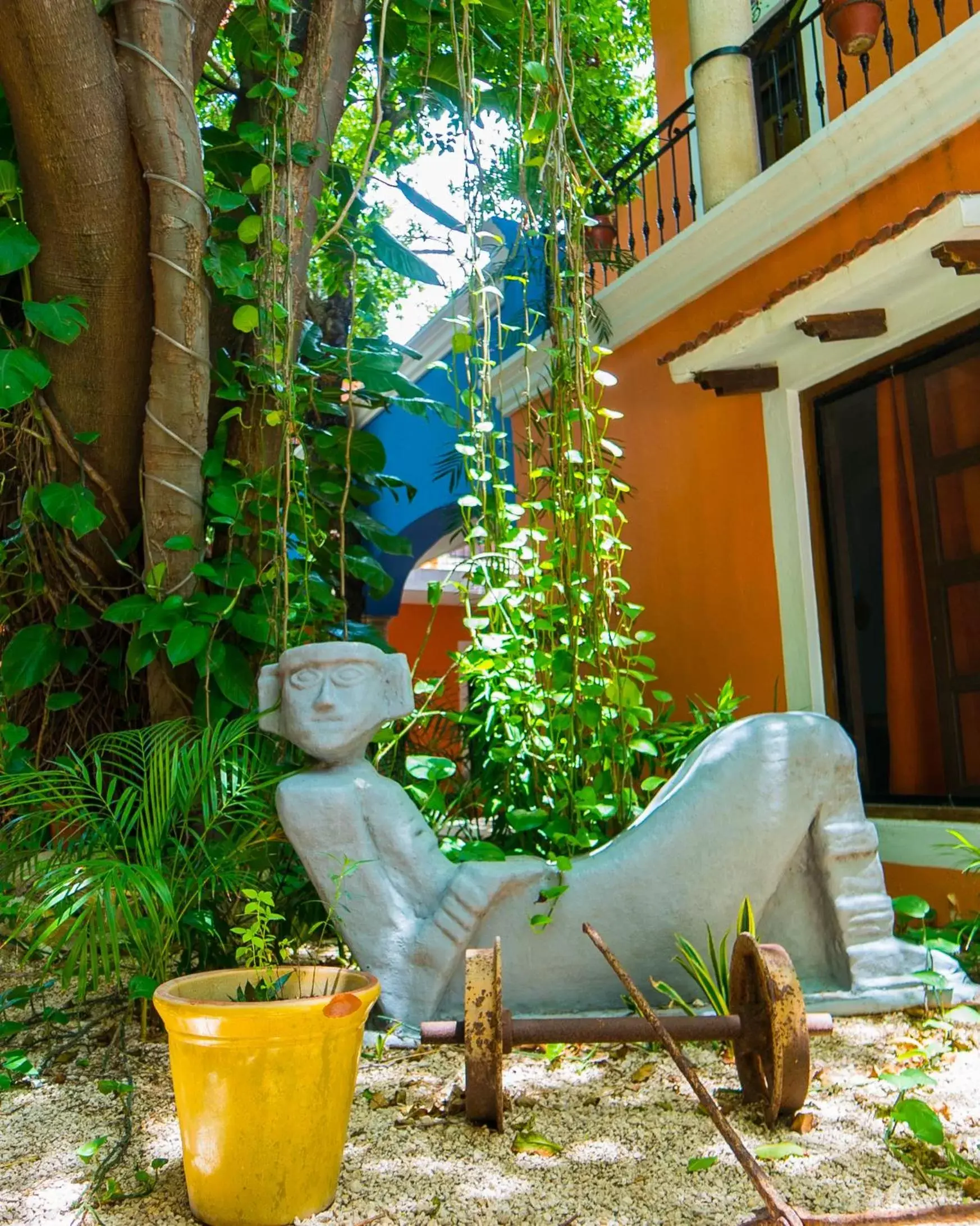 Garden in Hotel Casa de las Flores