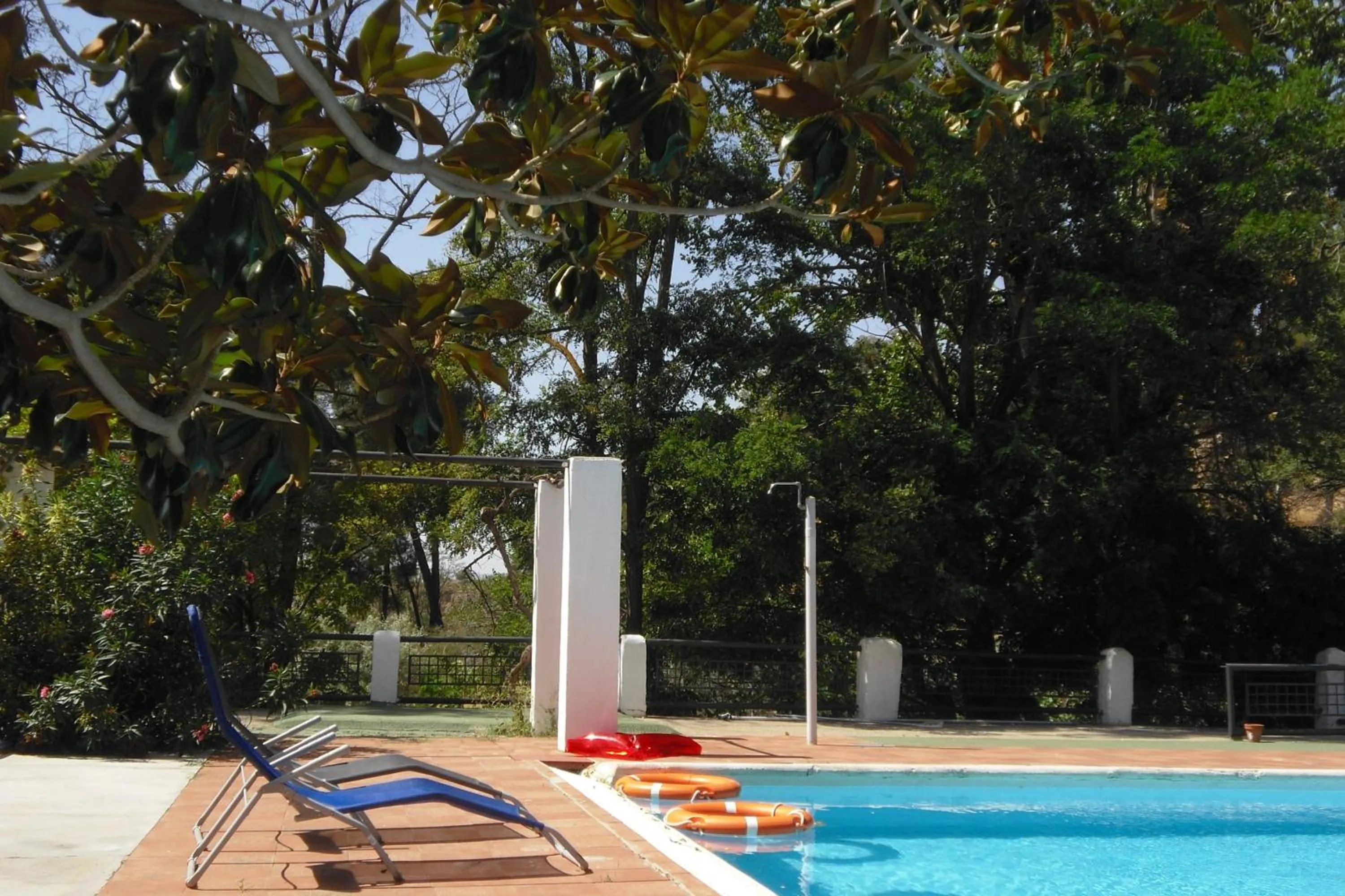 Swimming pool in Casas Cueva y Cortijo La Tala en Guadix