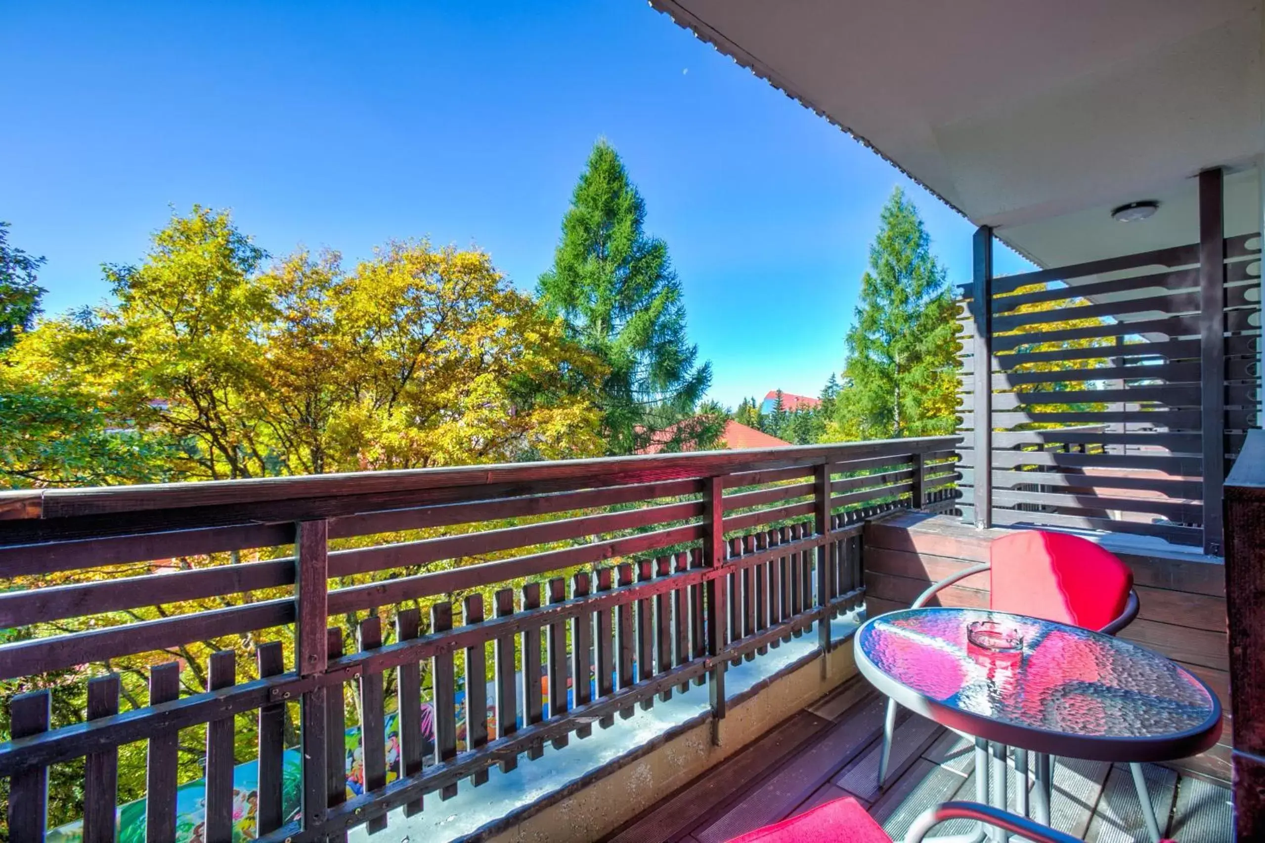 Balcony/Terrace in Alpin Resort Hotel