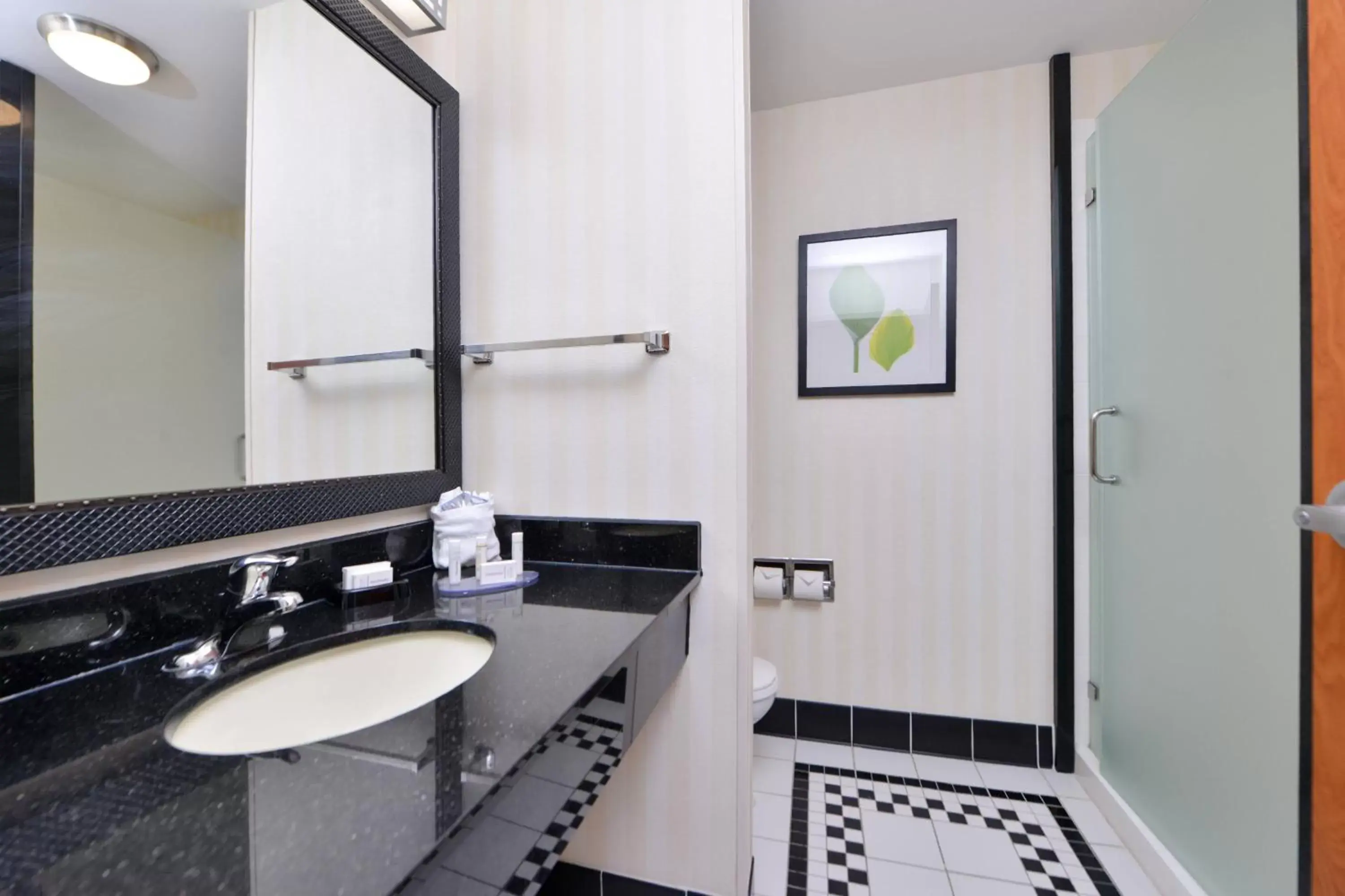 Bathroom in Fairfield Inn and Suites by Marriott Birmingham Pelham/I-65