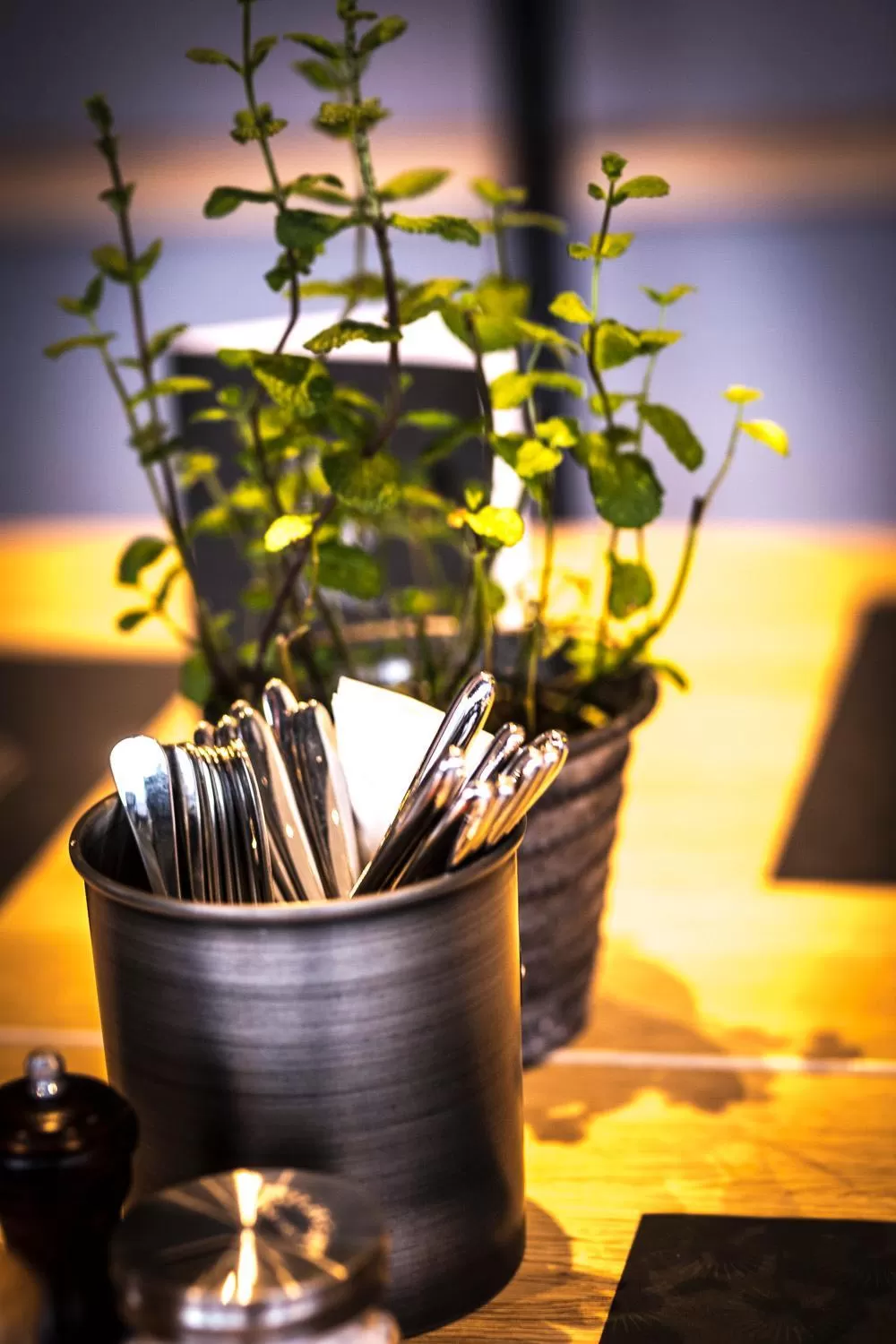 Restaurant/places to eat in ibis Wels