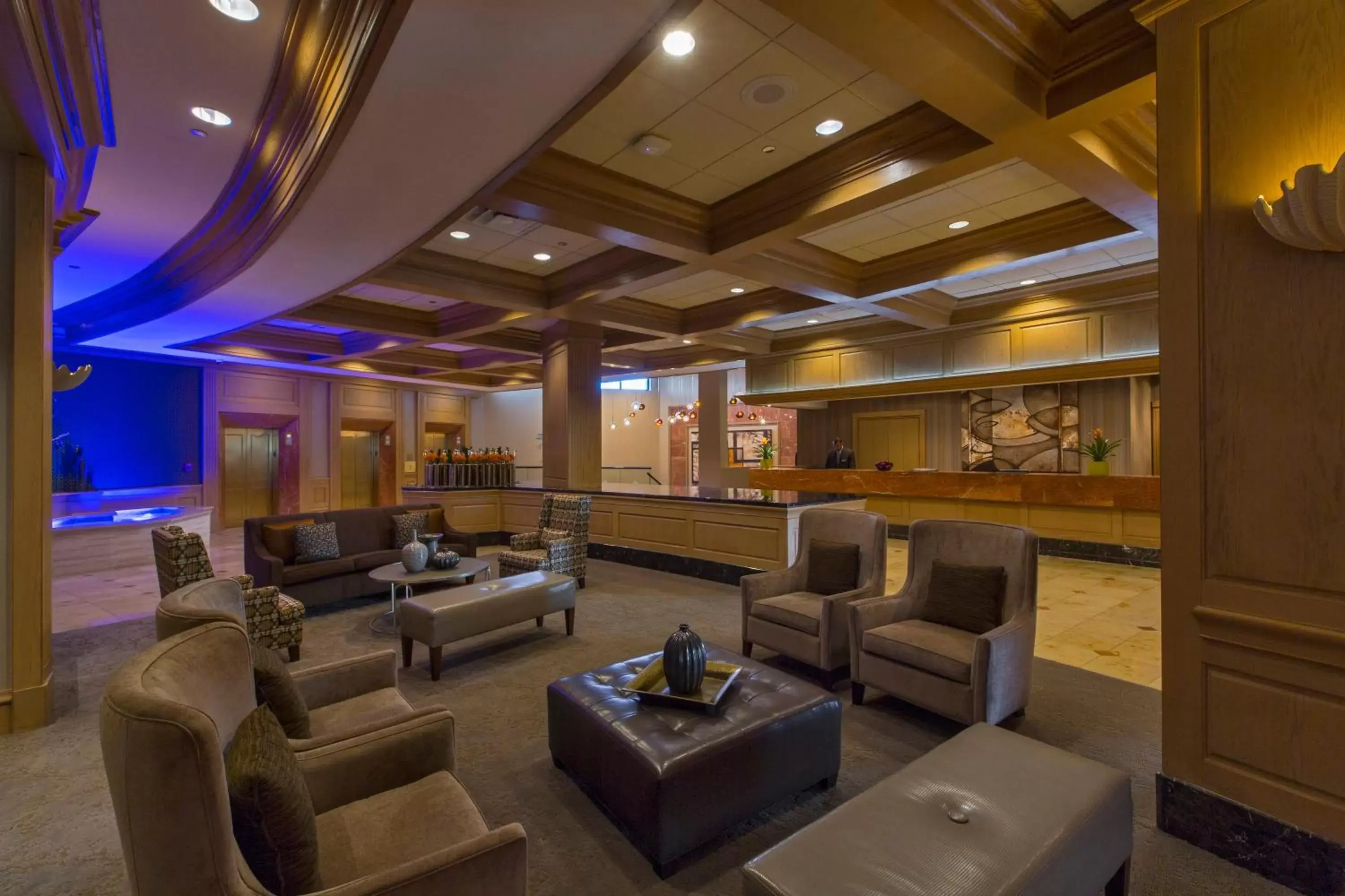 Lobby or reception, Lounge/Bar in The San Luis Resort Spa & Conference Center