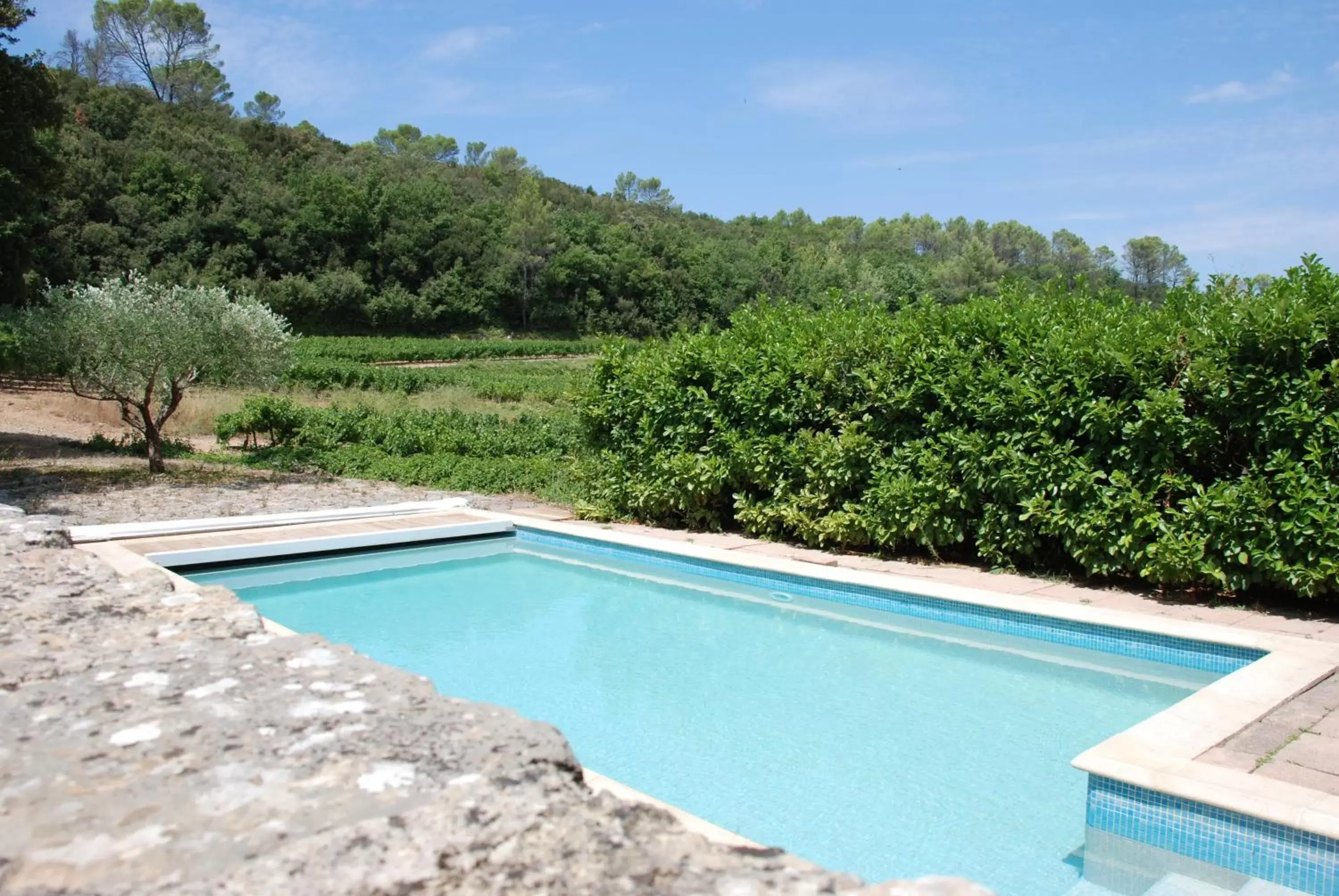 Pool view, Swimming Pool in Le Domaine Saint Martin