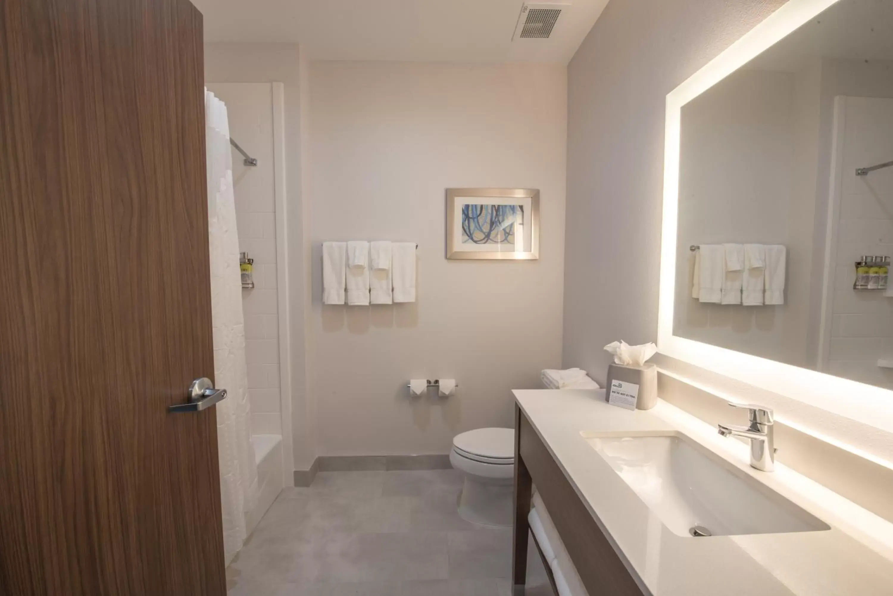 King Room - Mobility Access Roll in Shower/Non-Smoking in Holiday Inn Express & Suites - Houston Westchase - Westheimer, an IHG Hotel King Room - Mobility Access Roll in Shower/Non-Smoking in Holiday Inn Express & Suites - Houston Westchase - Westheimer, an IHG Hotel