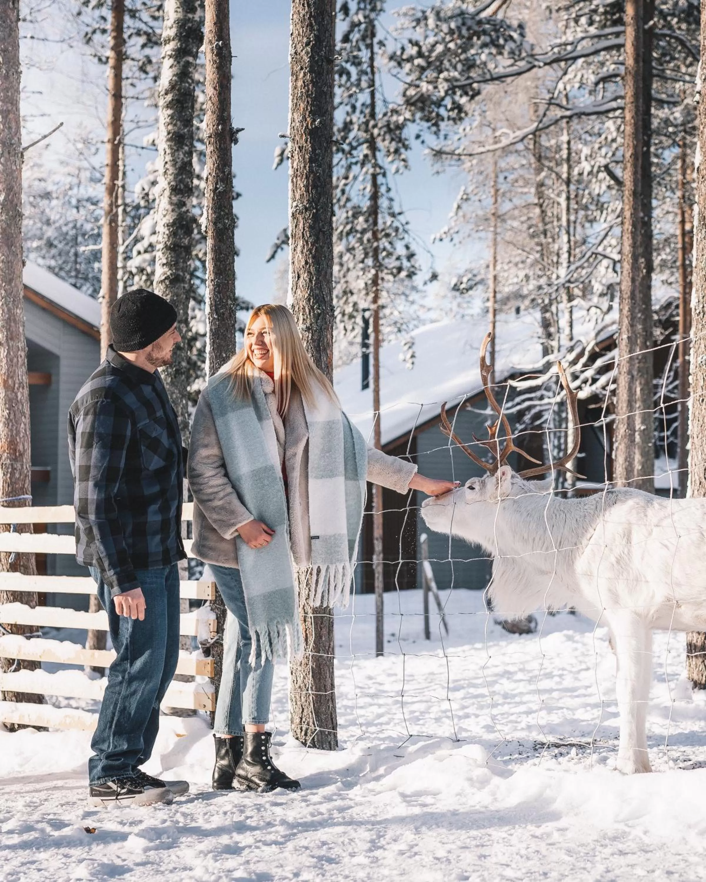 Winter in Nova Skyland Hotel