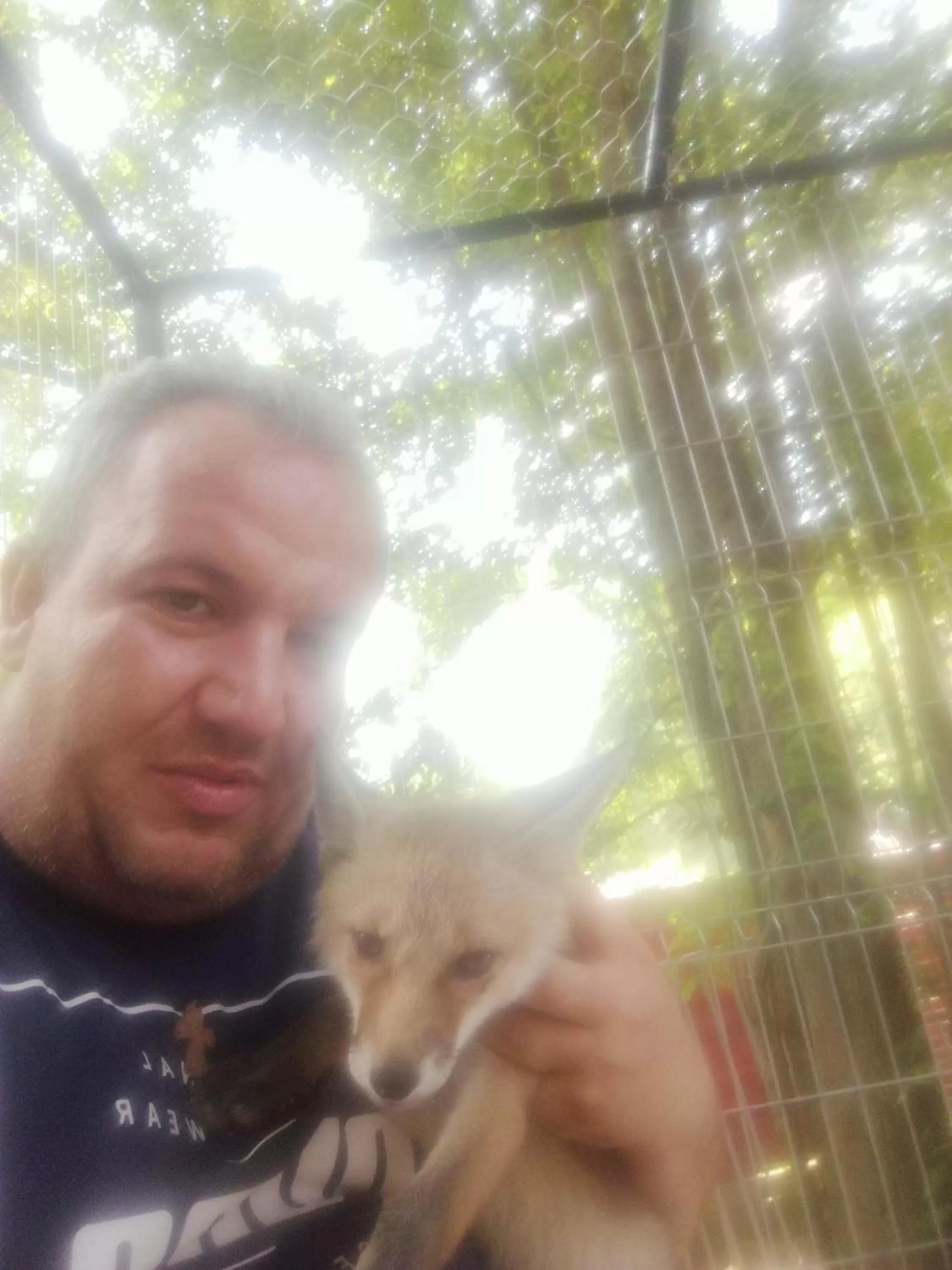 Animals in Etno selo Vile Jefimija, selo Preobrazenje, Vranje