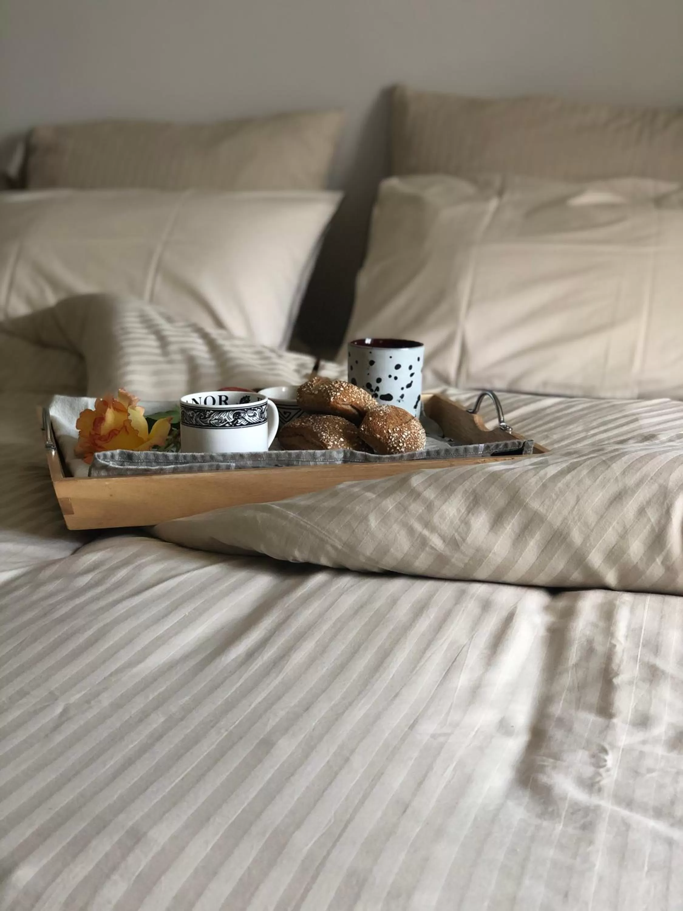 Food and drinks in Maison Tassigny